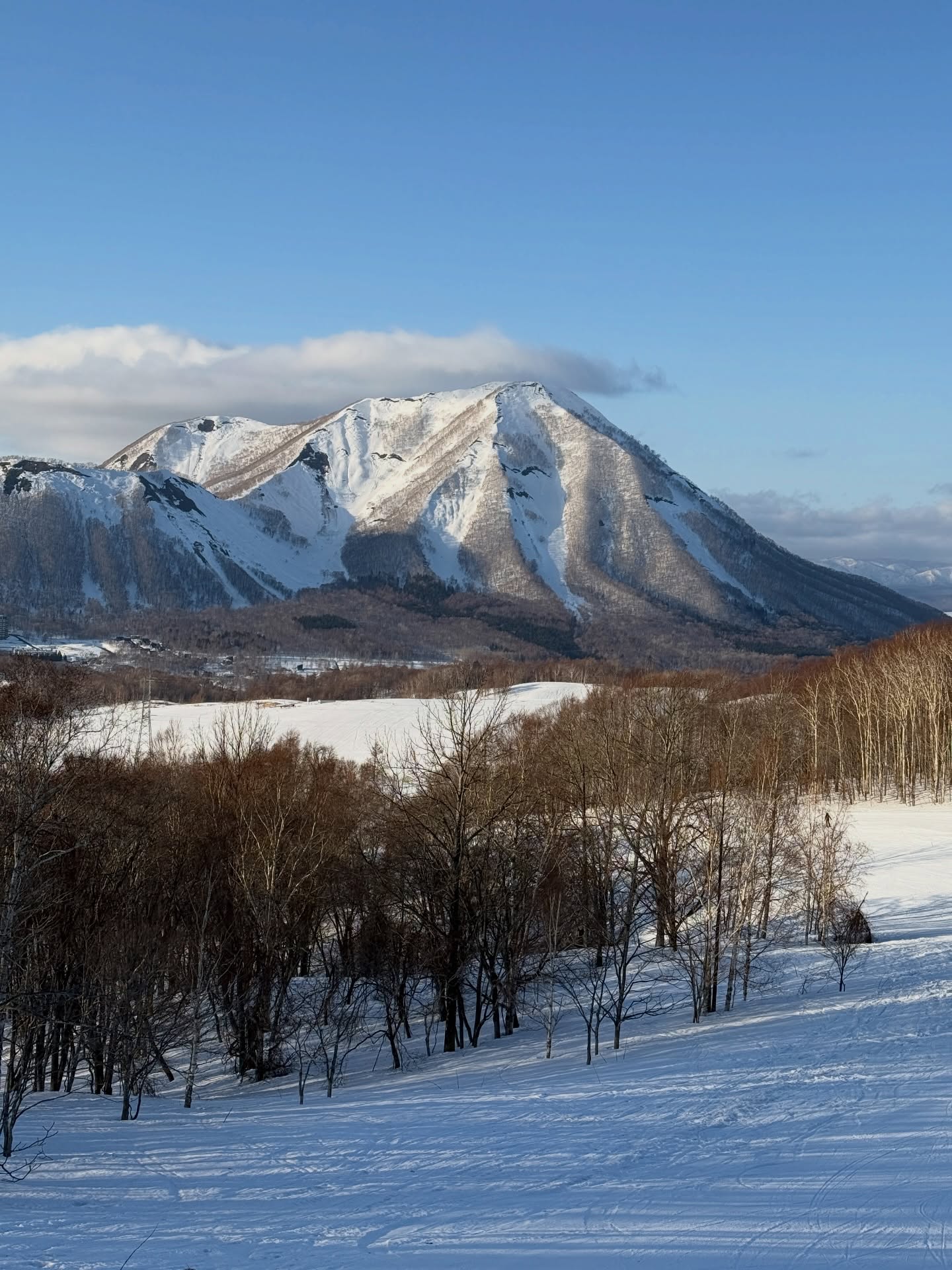 พิม - พิมประภา ตั้งประภาพร