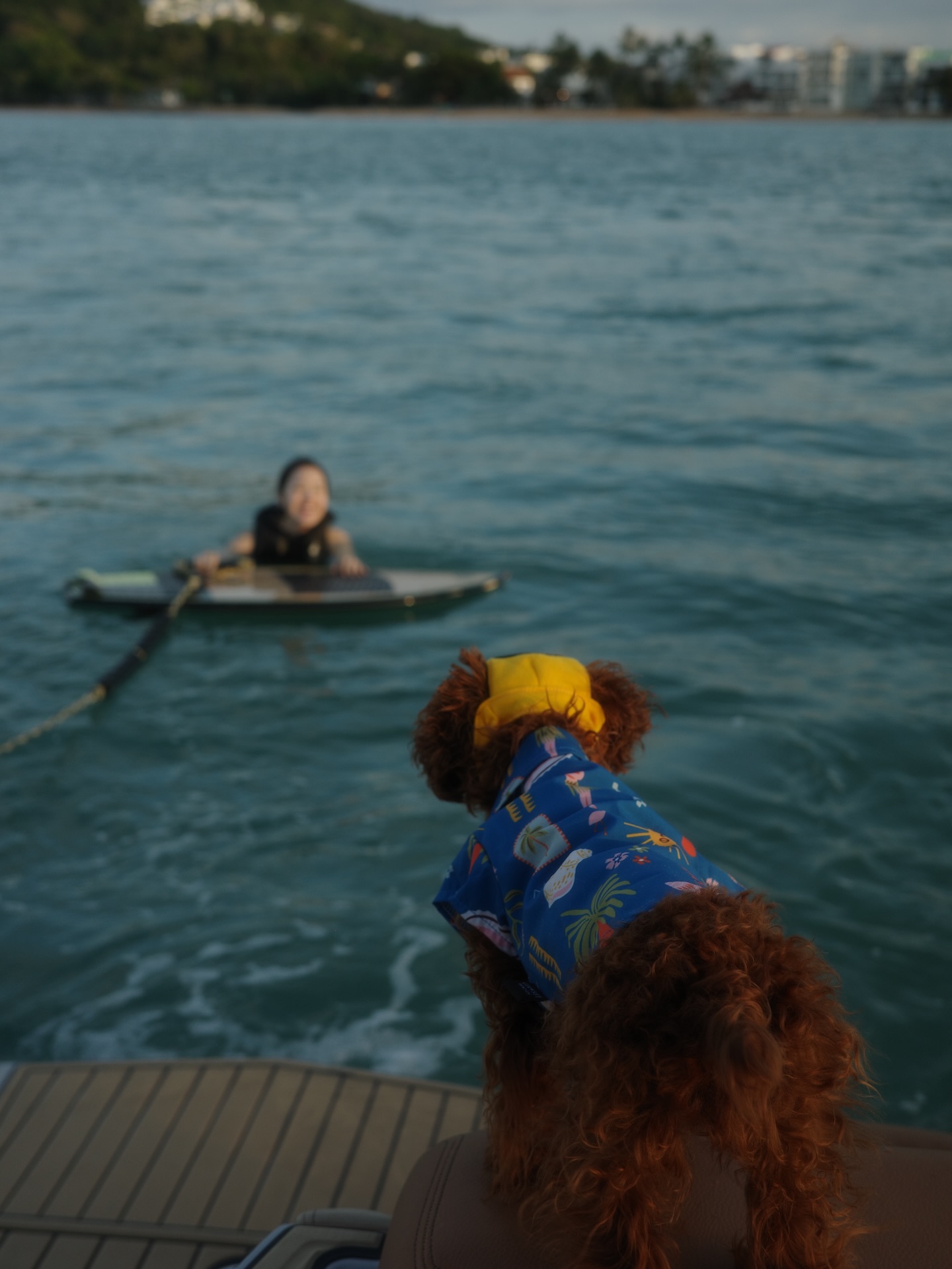 พิม - พิมประภา ตั้งประภาพร