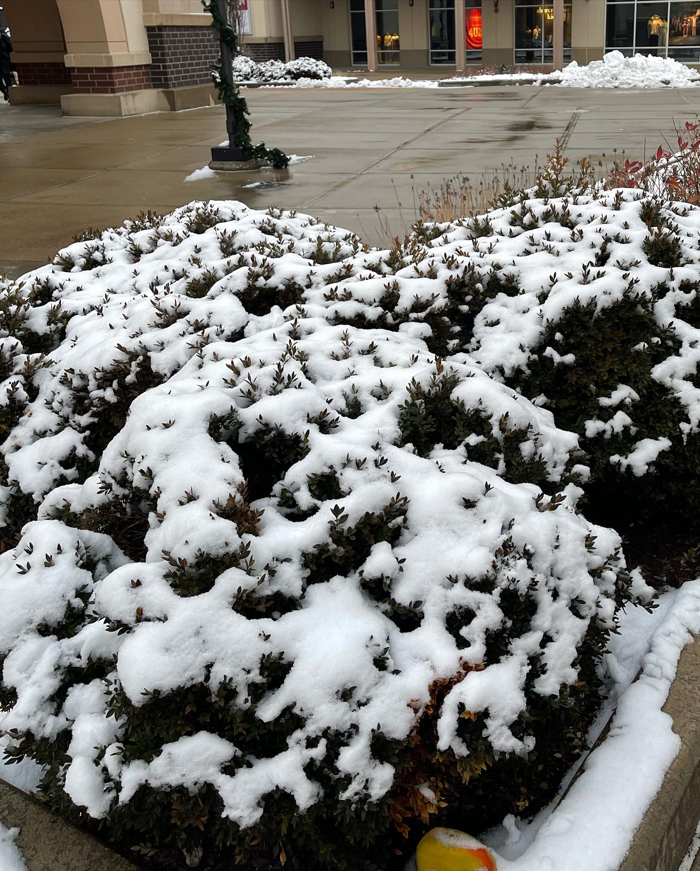 ทอย - ปฐมพงศ์ เรือนใจดี