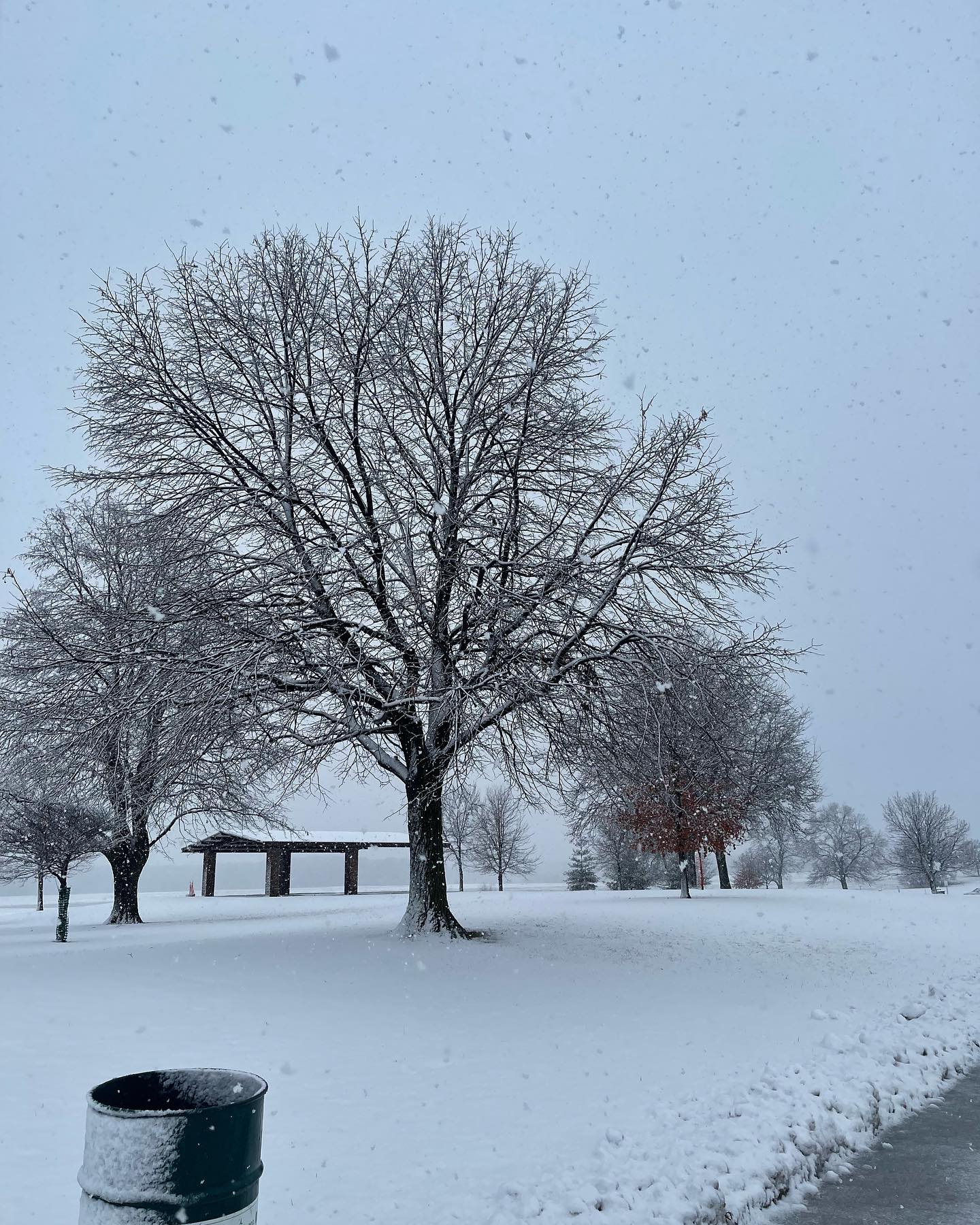 ทอย - ปฐมพงศ์ เรือนใจดี