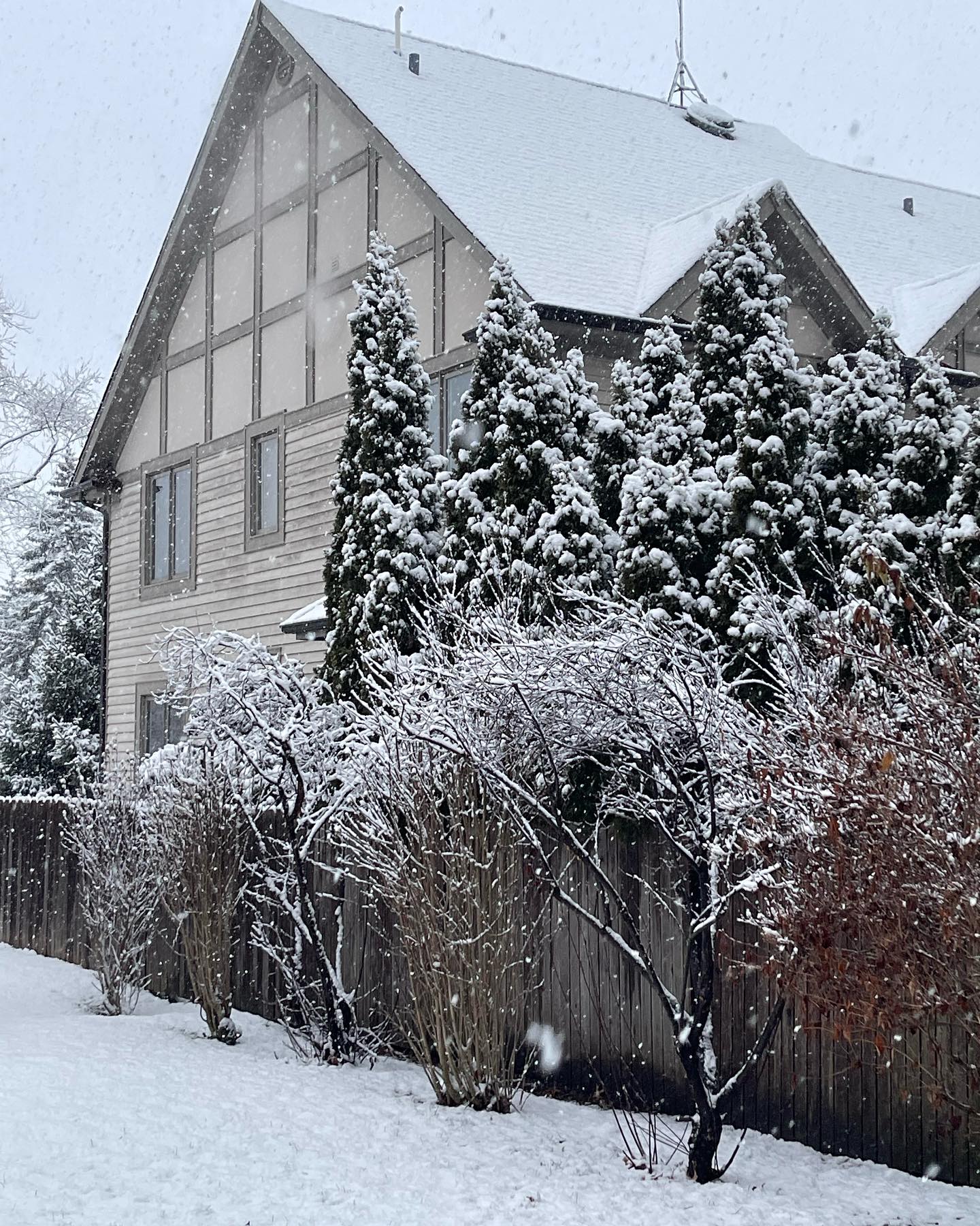 ทอย - ปฐมพงศ์ เรือนใจดี