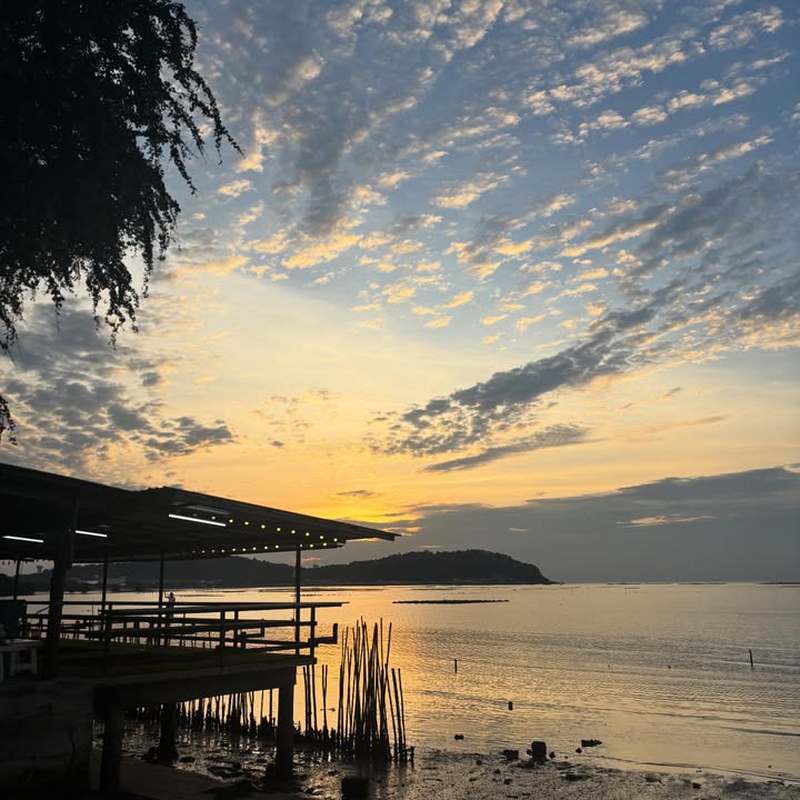 ทอย - ปฐมพงศ์ เรือนใจดี