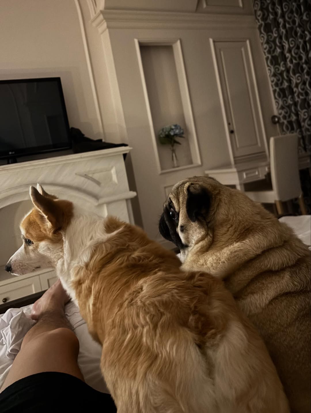 ทอย - ปฐมพงศ์ เรือนใจดี