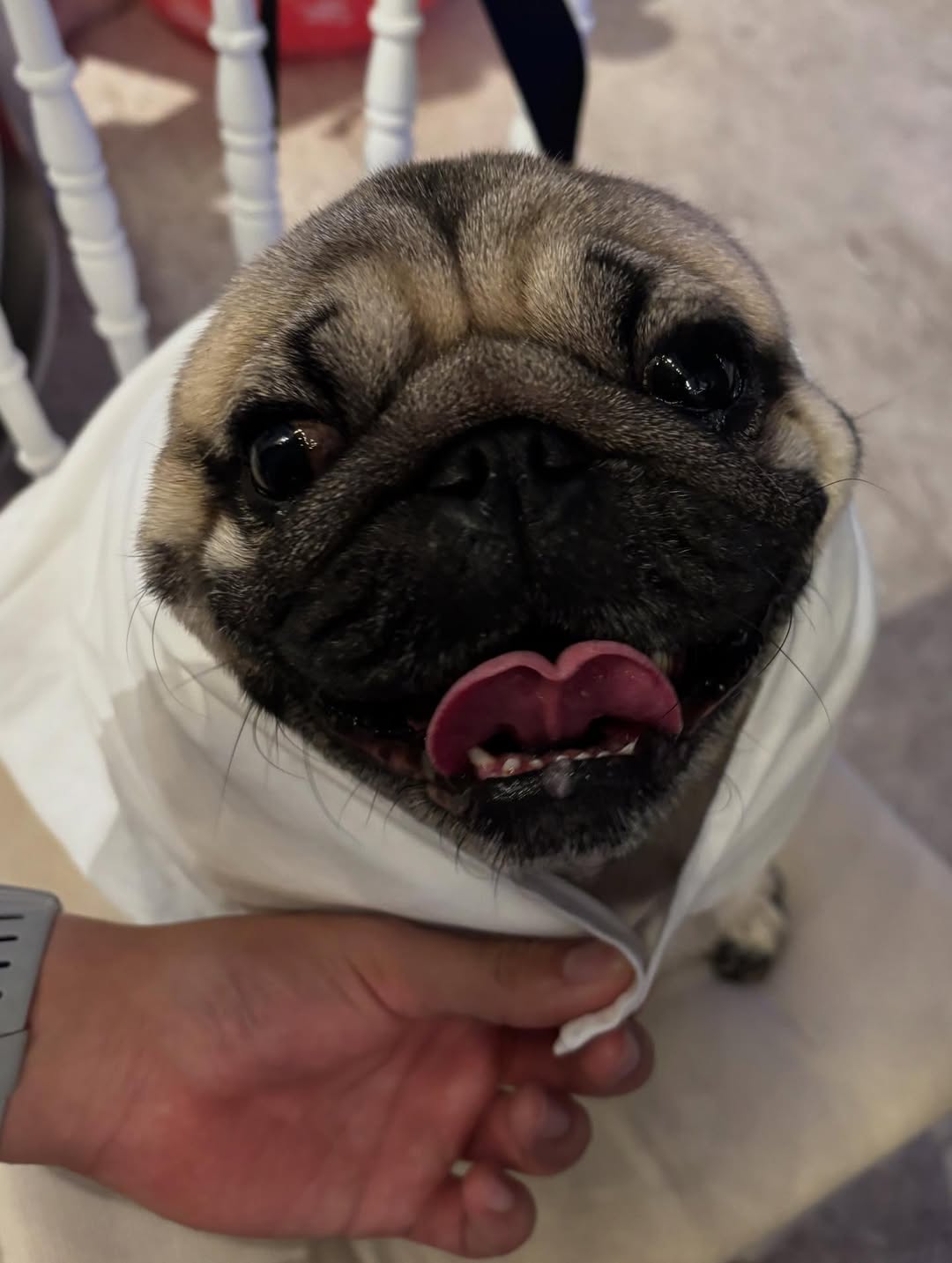 ทอย - ปฐมพงศ์ เรือนใจดี