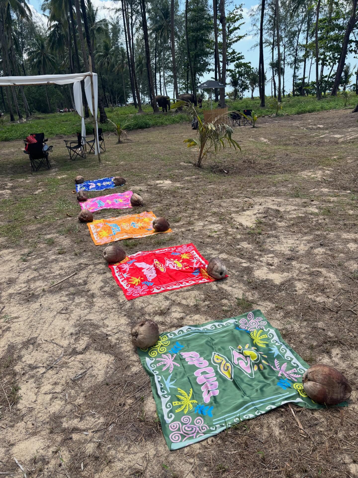 ทอย - ปฐมพงศ์ เรือนใจดี