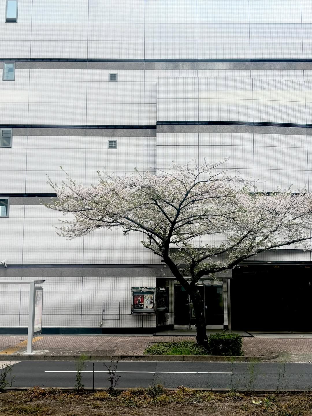 ทอย - ปฐมพงศ์ เรือนใจดี