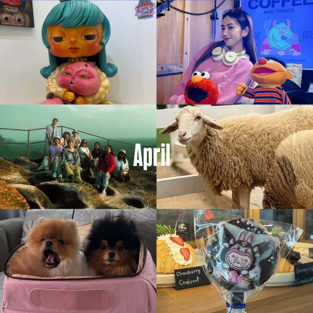 แป้ง มิตรชัย