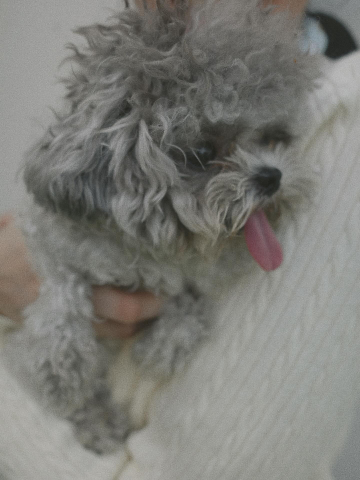 แป้ง มิตรชัย