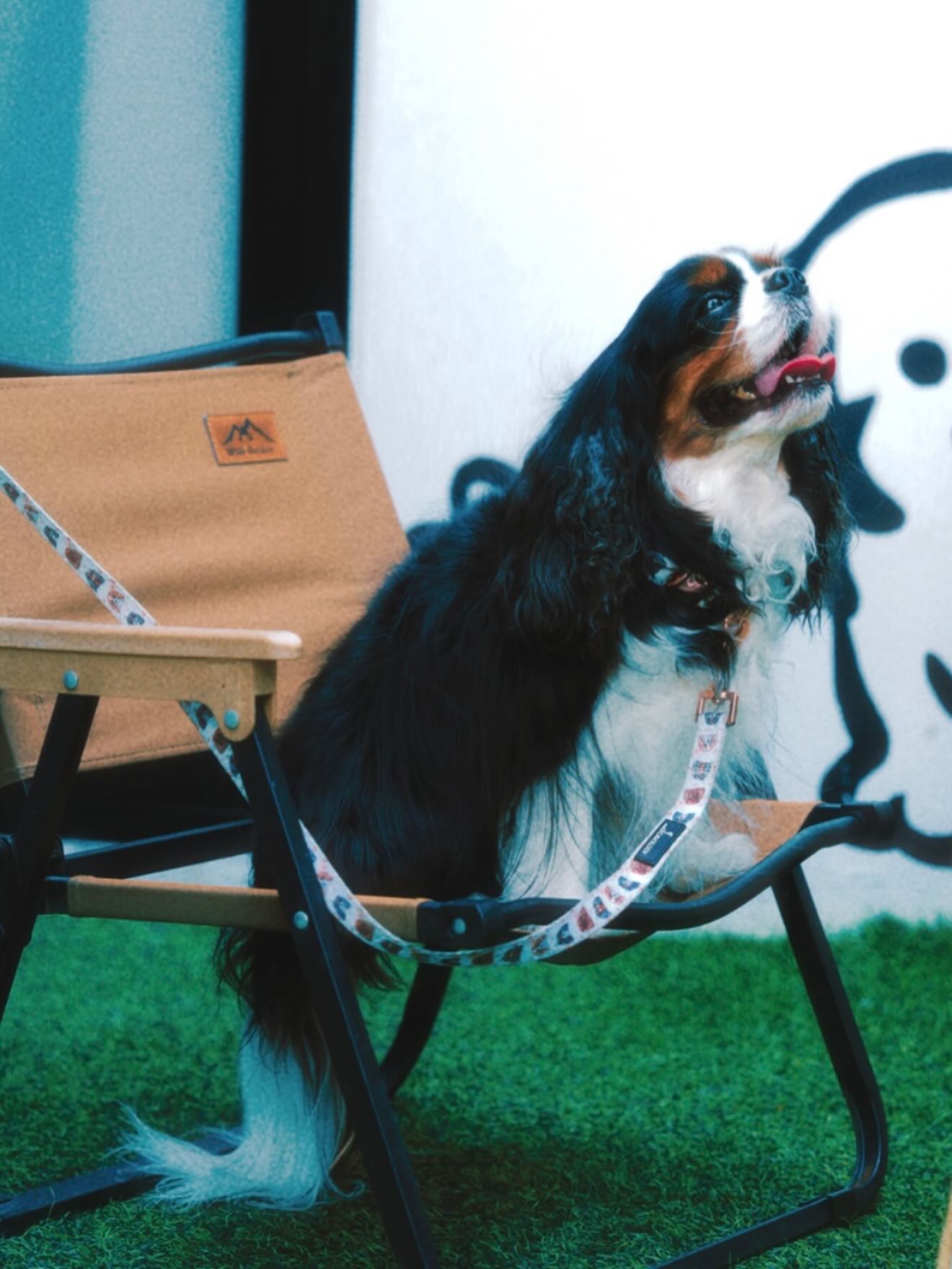 แป้ง มิตรชัย