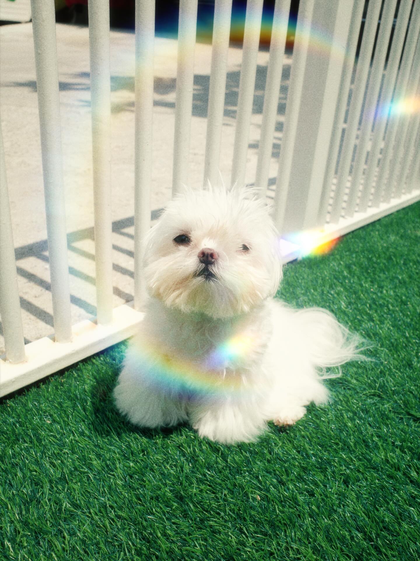 แป้ง มิตรชัย