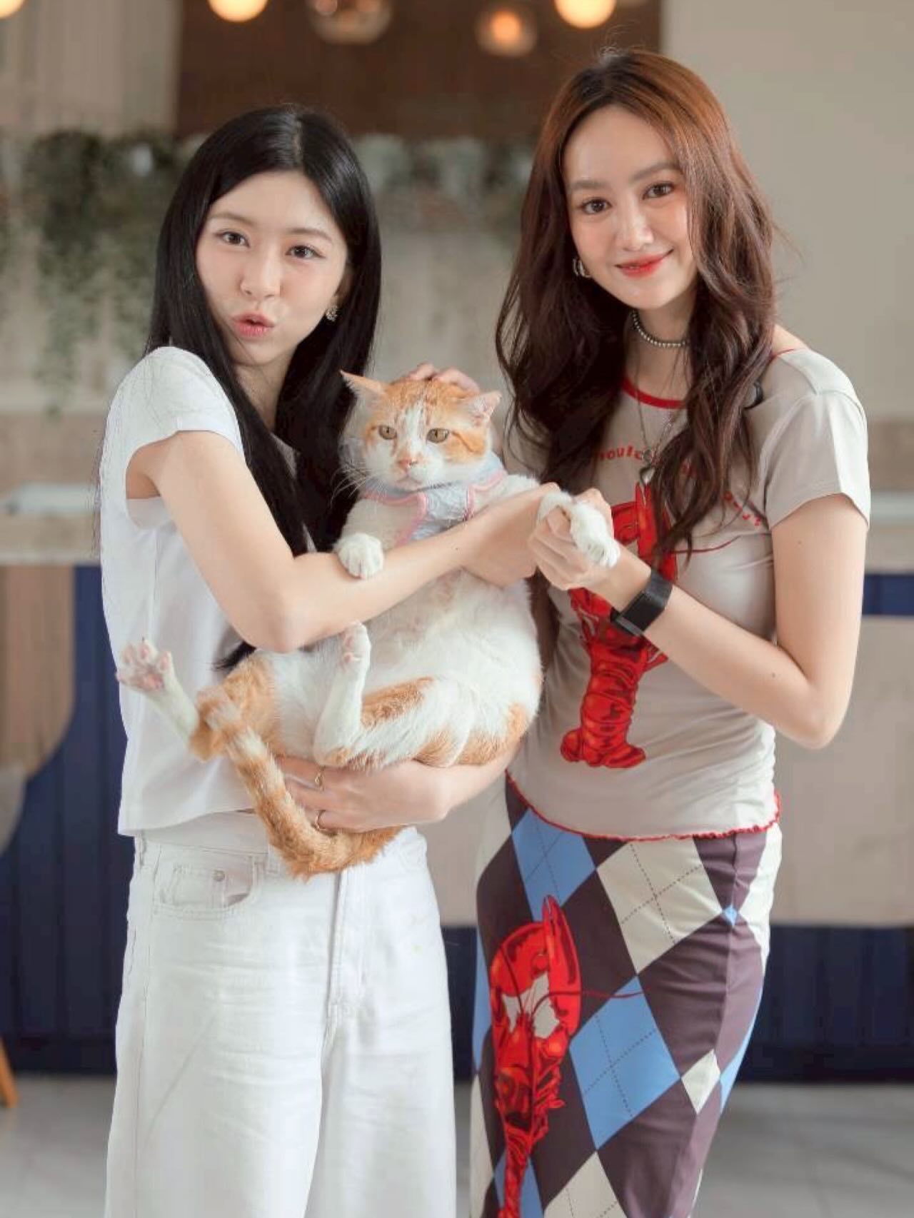 แป้ง มิตรชัย
