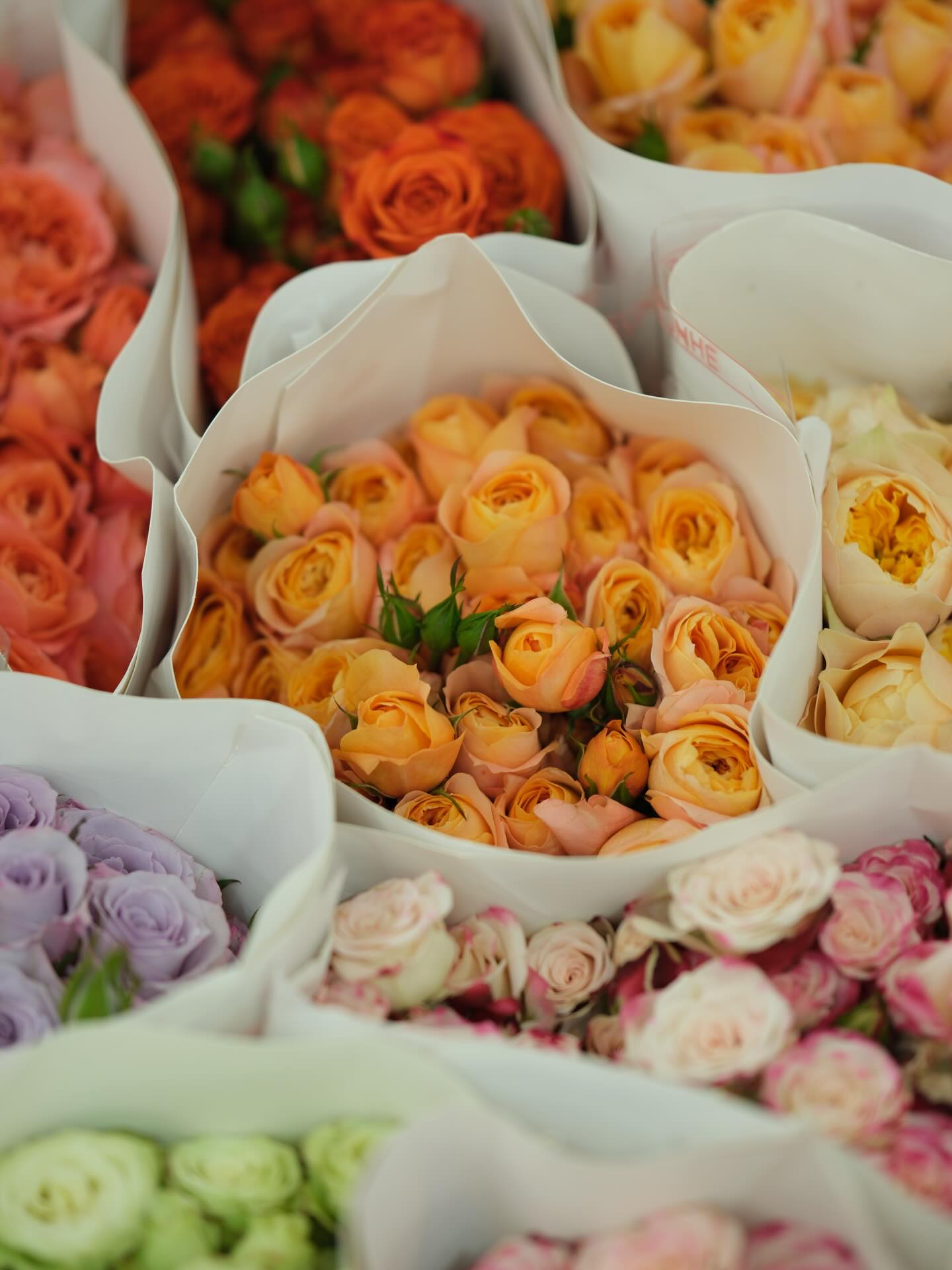 ฝ้าย - พีรญา มะลิซ้อน