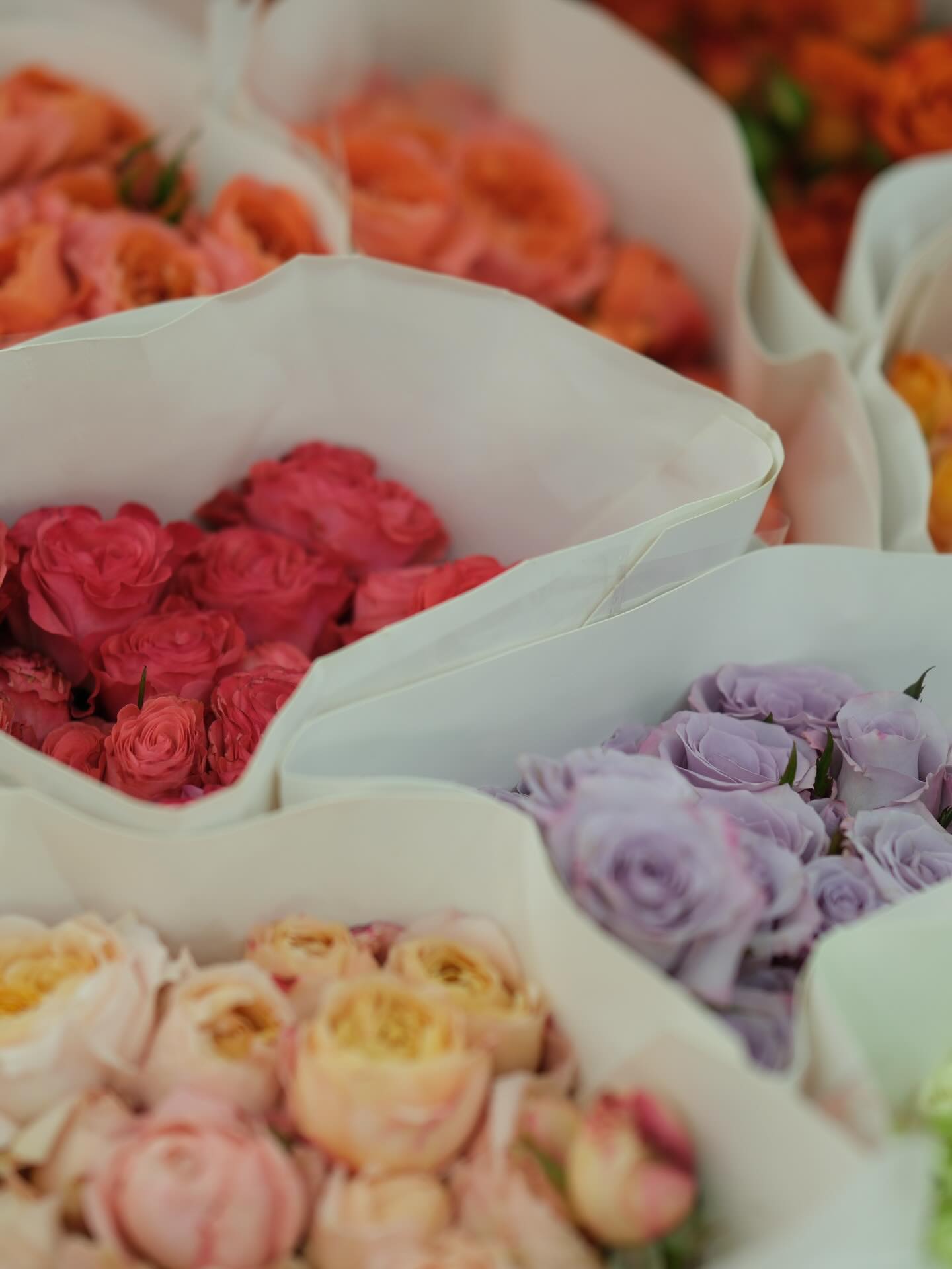 ฝ้าย - พีรญา มะลิซ้อน