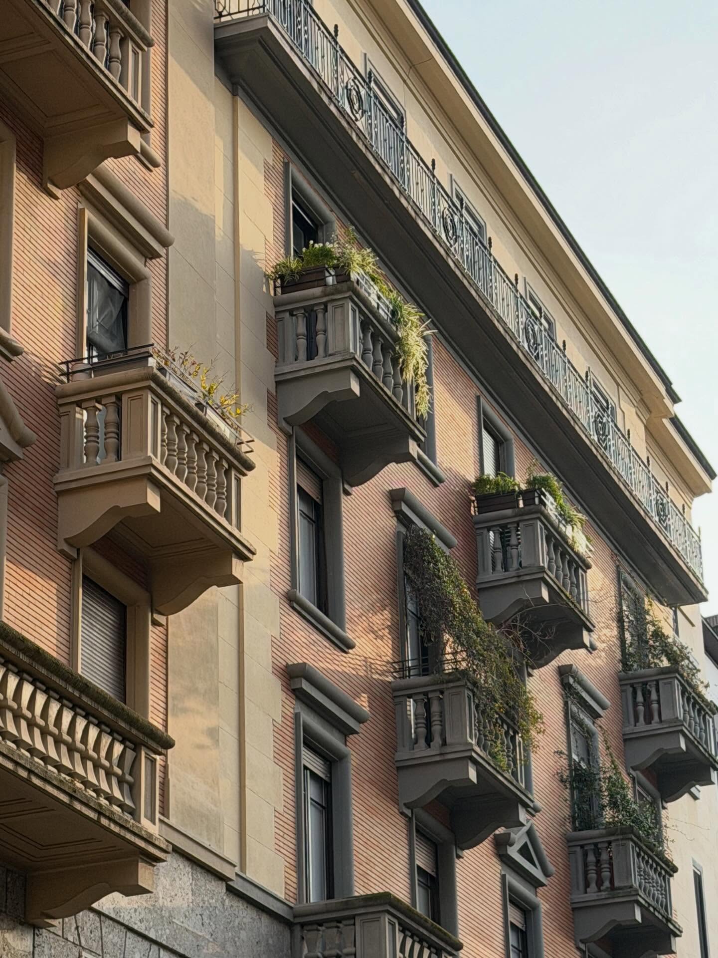 ฝ้าย - พีรญา มะลิซ้อน