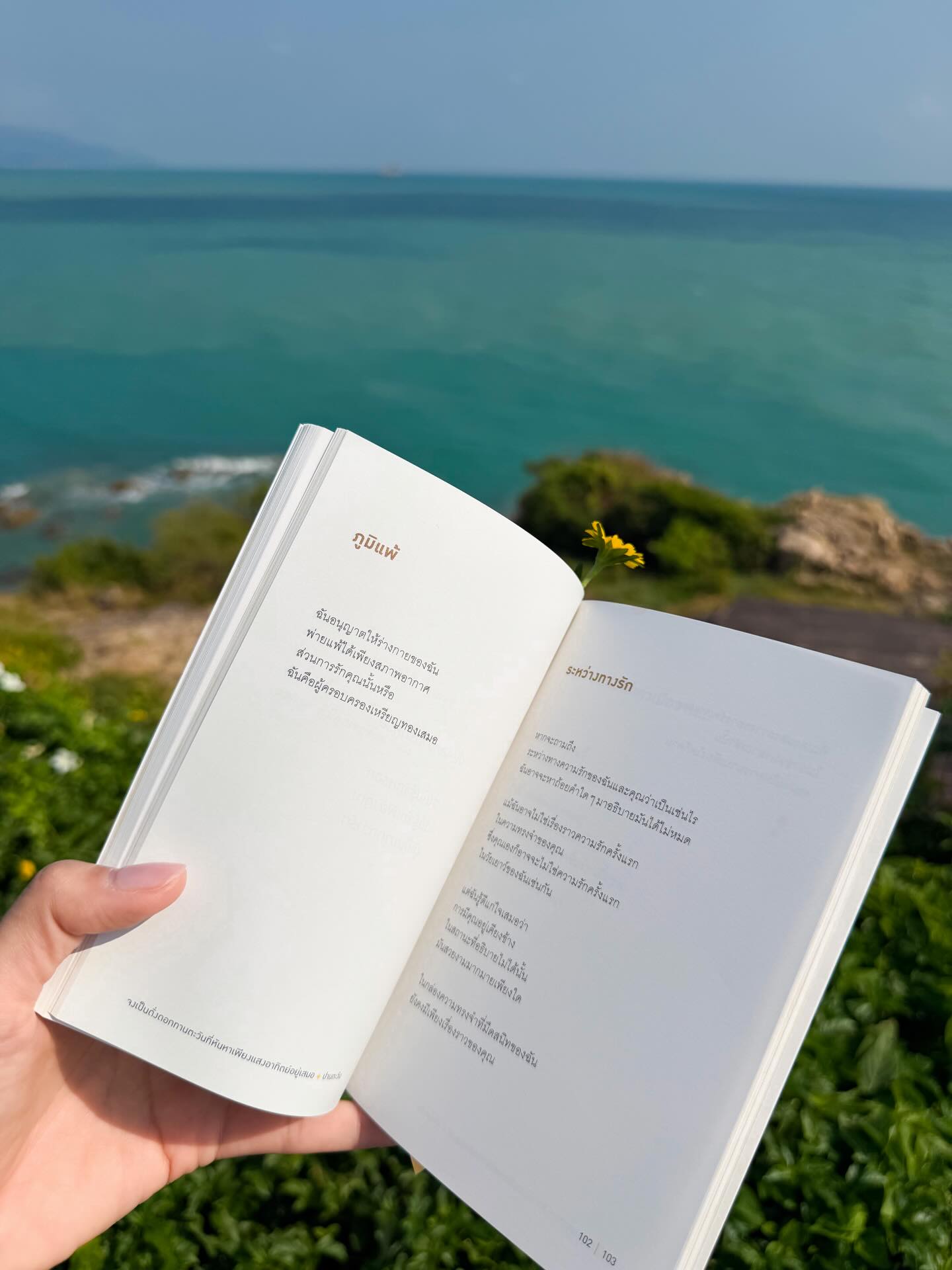 ฝ้าย - พีรญา มะลิซ้อน