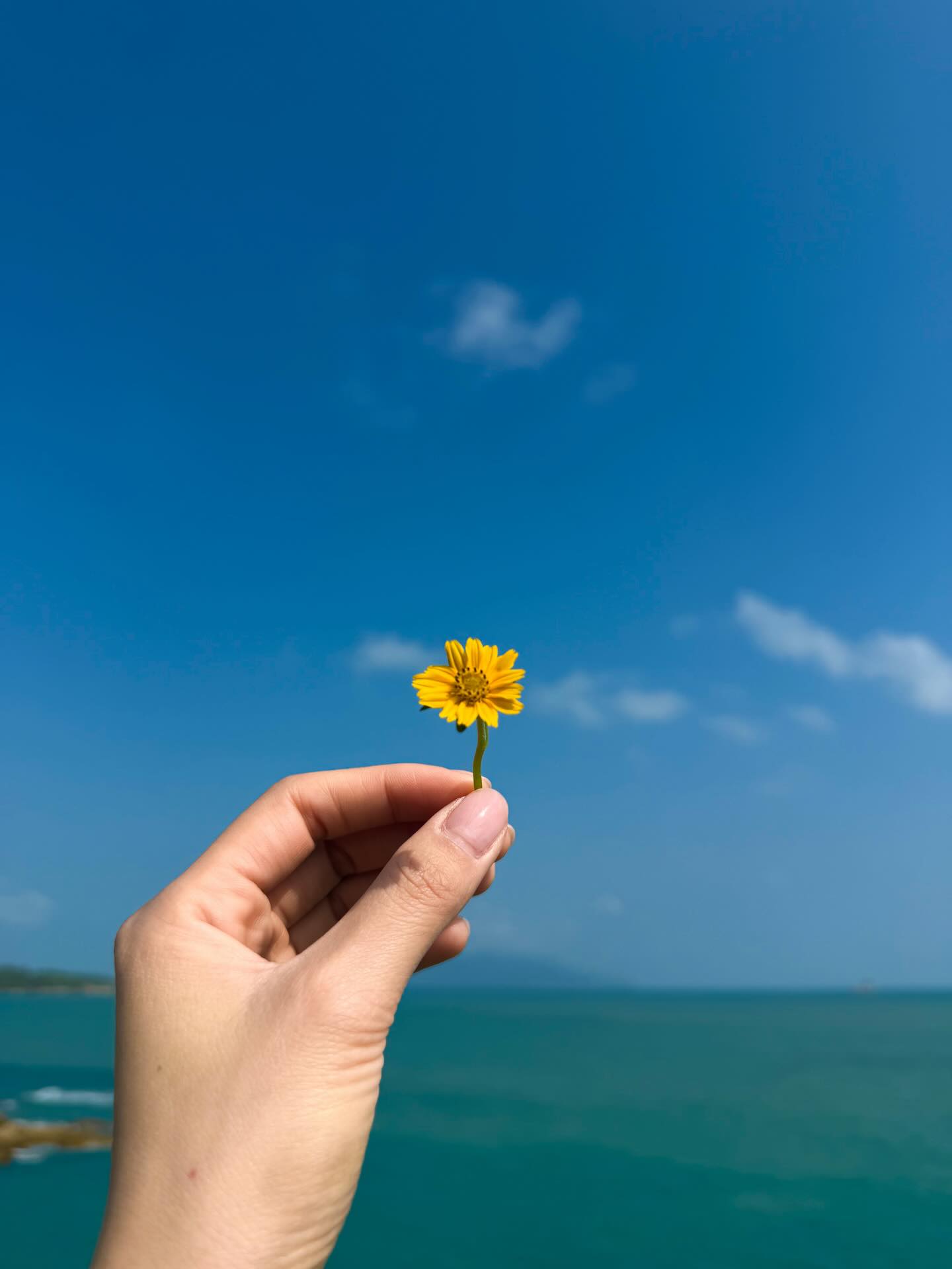 ฝ้าย - พีรญา มะลิซ้อน