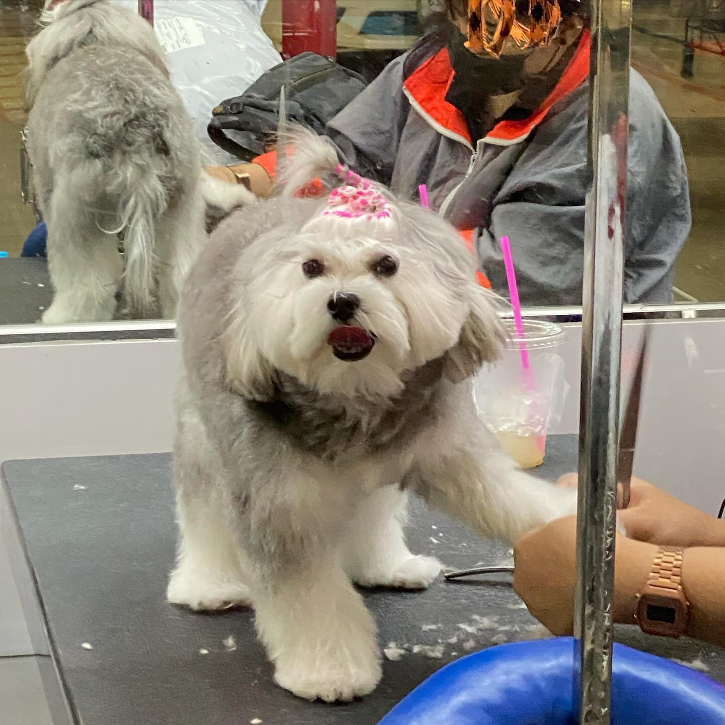 อ้าย - สรัลชนา อภิสมัยมงคล