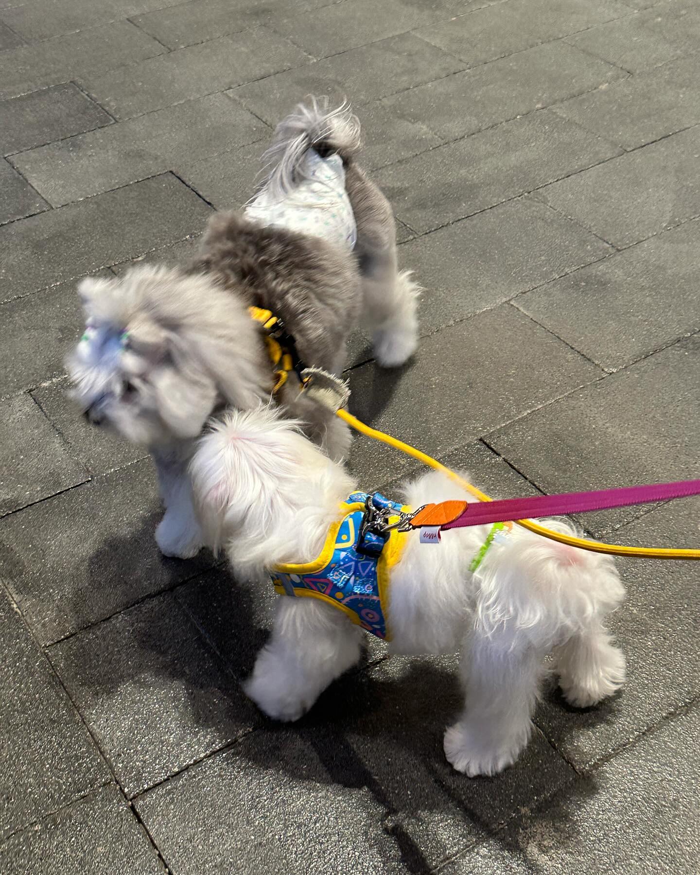 อ้าย - สรัลชนา อภิสมัยมงคล