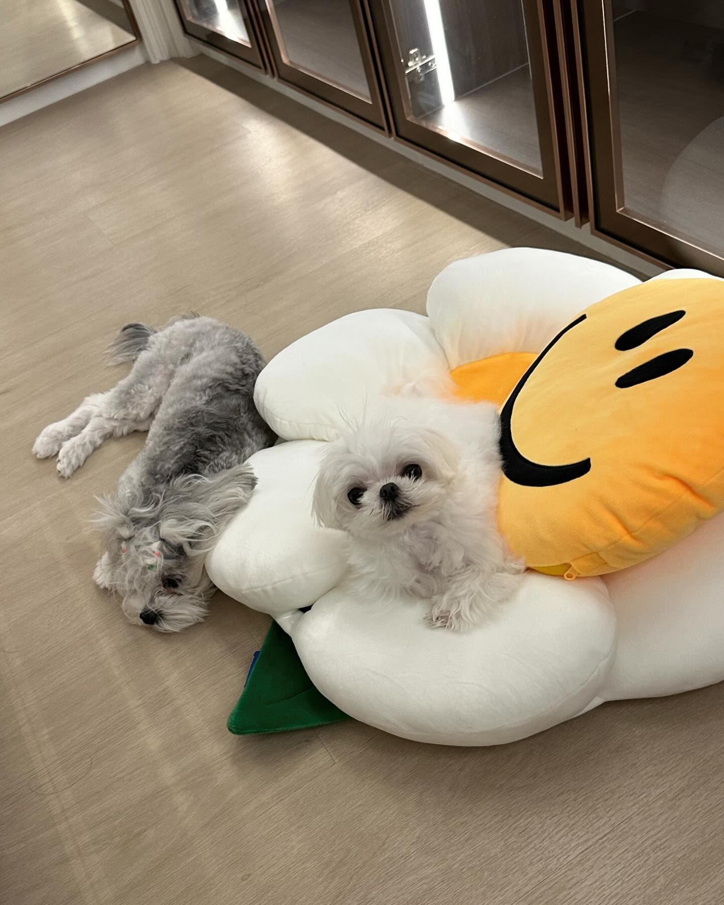 อ้าย - สรัลชนา อภิสมัยมงคล