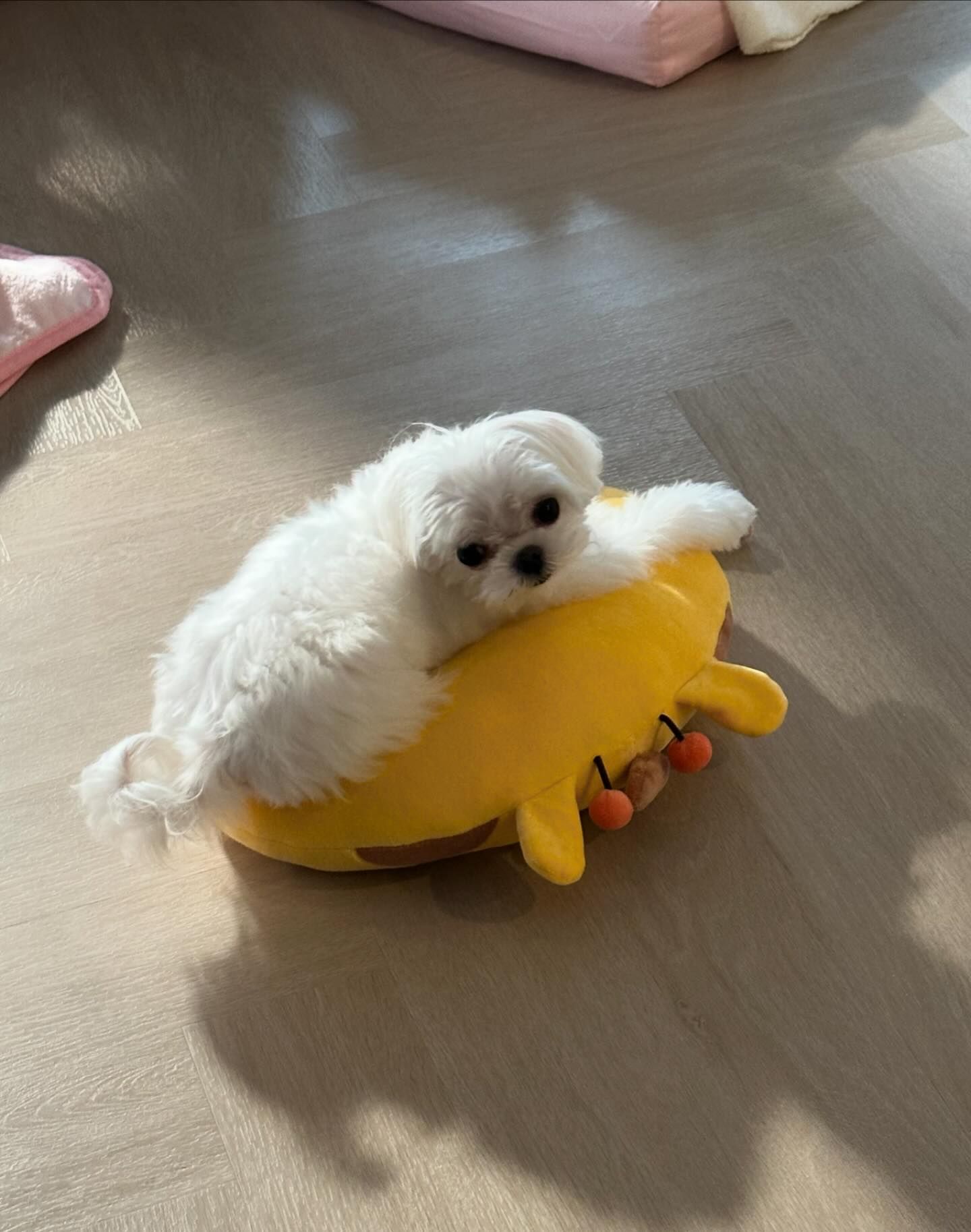 อ้าย - สรัลชนา อภิสมัยมงคล