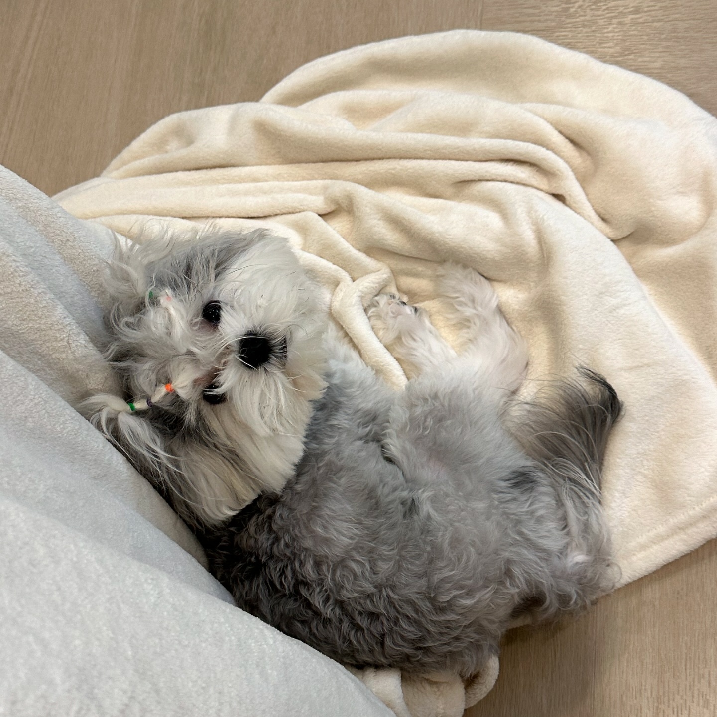 อ้าย - สรัลชนา อภิสมัยมงคล