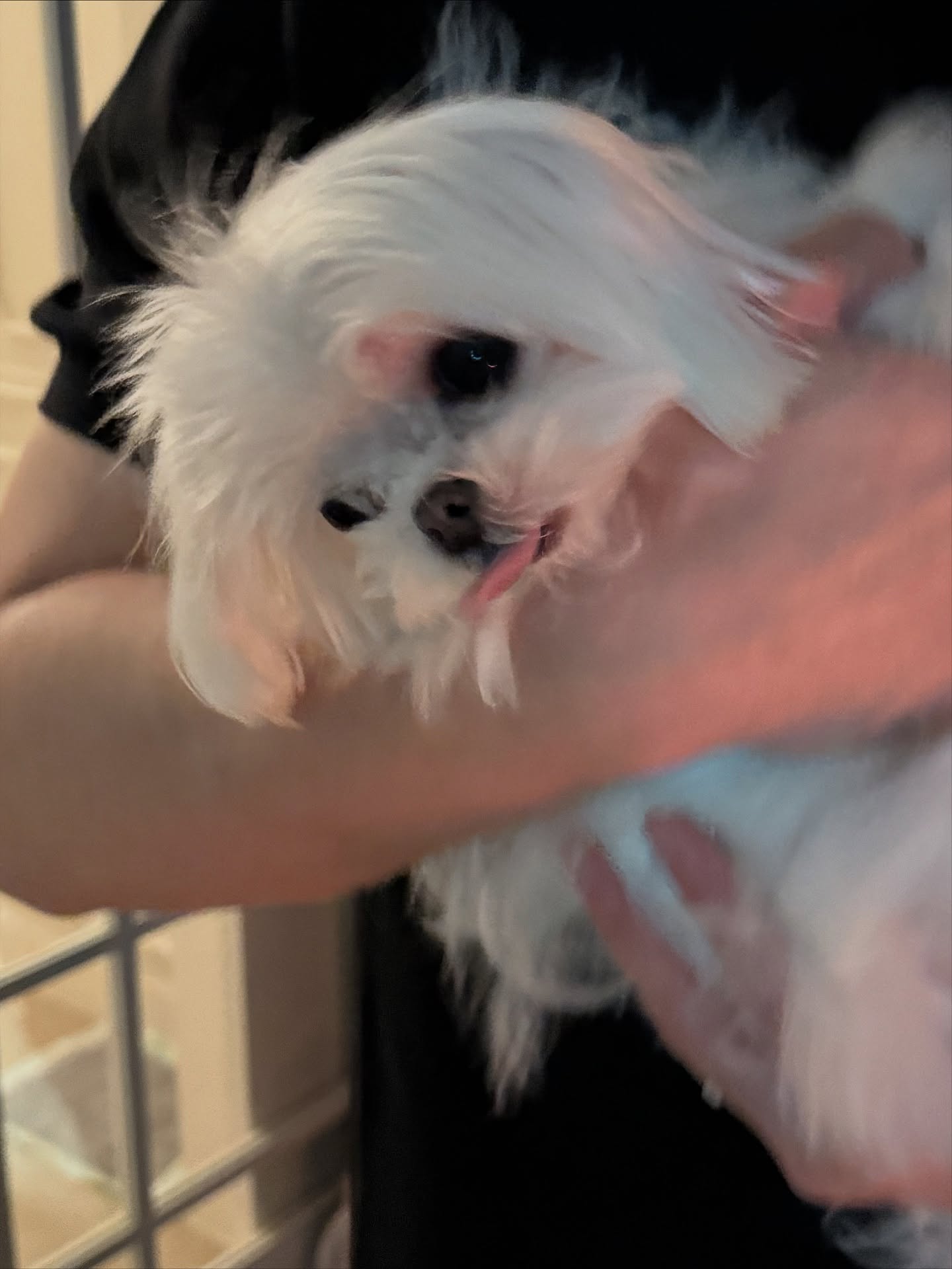 อ้าย - สรัลชนา อภิสมัยมงคล