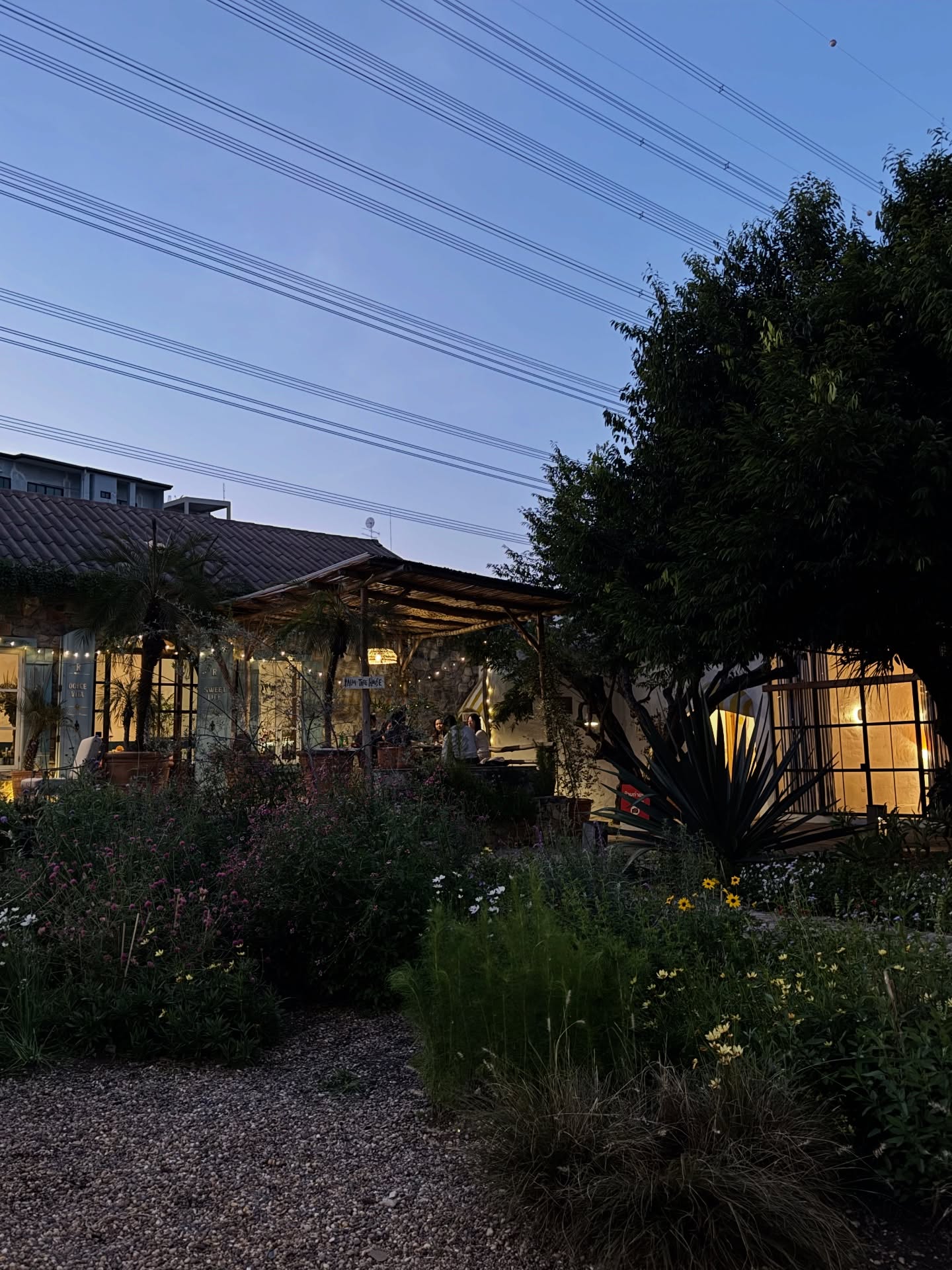 อ้าย - สรัลชนา อภิสมัยมงคล