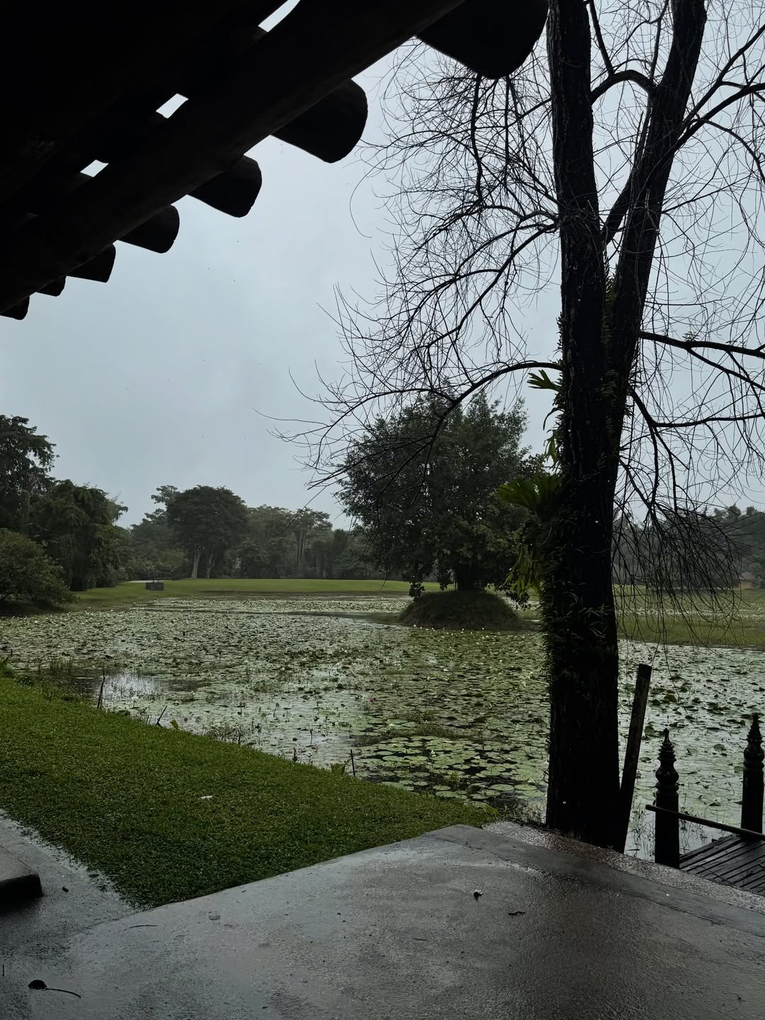 อ้าย - สรัลชนา อภิสมัยมงคล