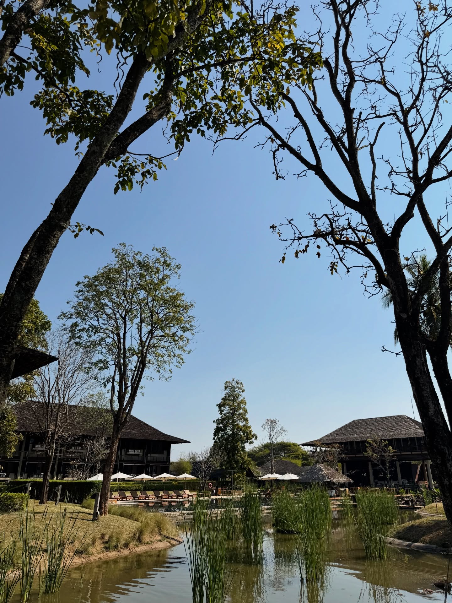 อ้าย - สรัลชนา อภิสมัยมงคล