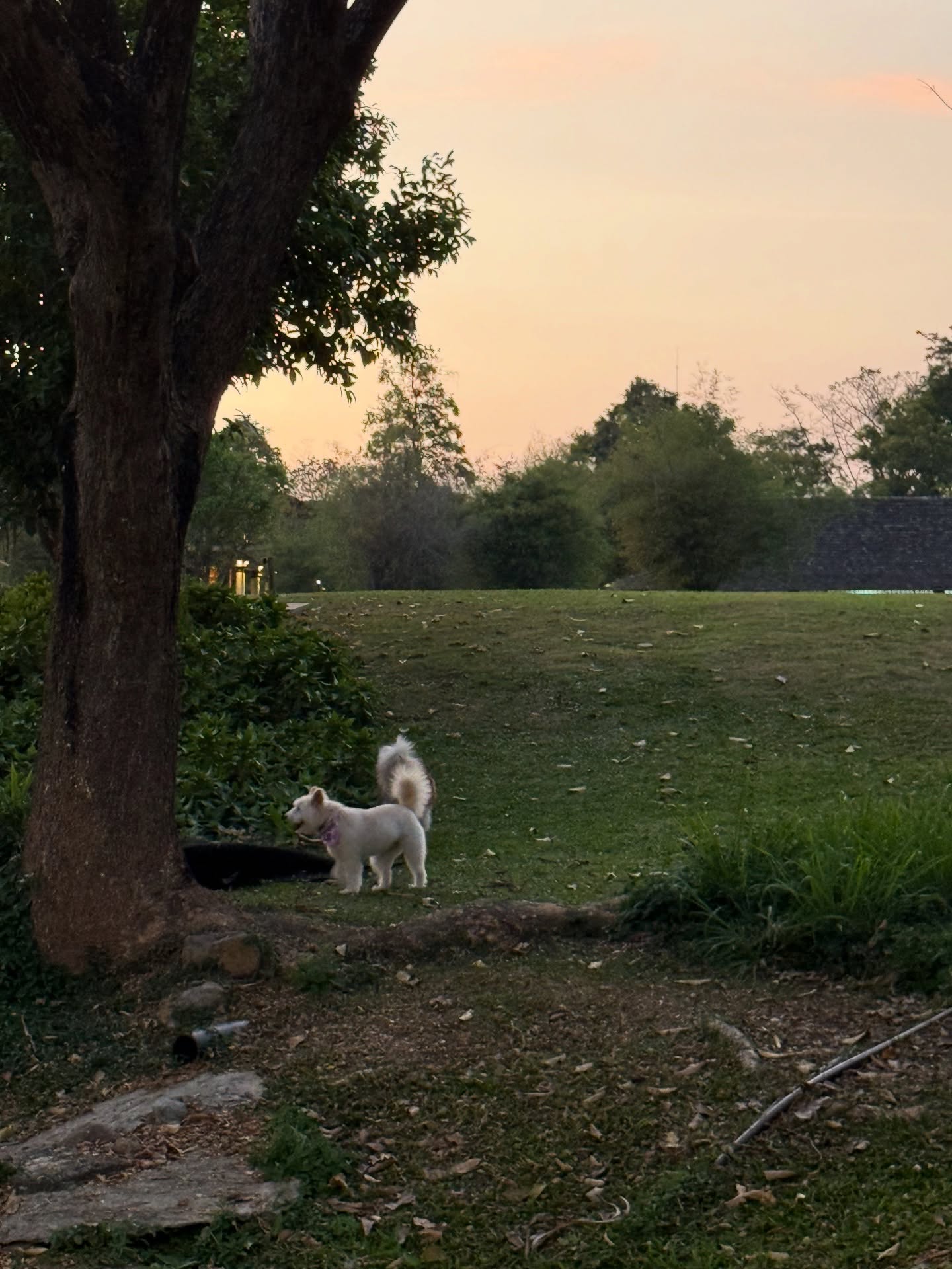 อ้าย - สรัลชนา อภิสมัยมงคล