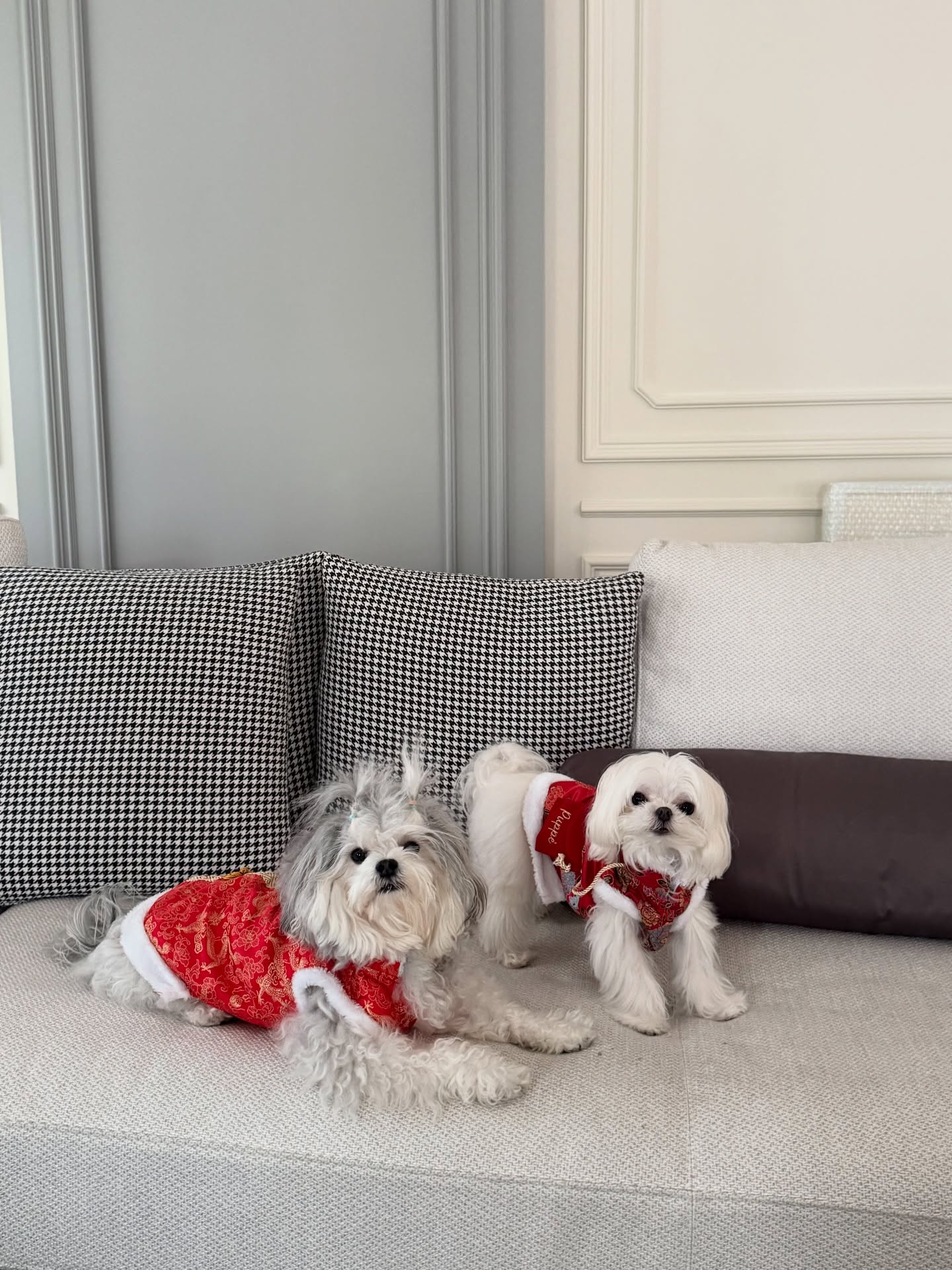 อ้าย - สรัลชนา อภิสมัยมงคล