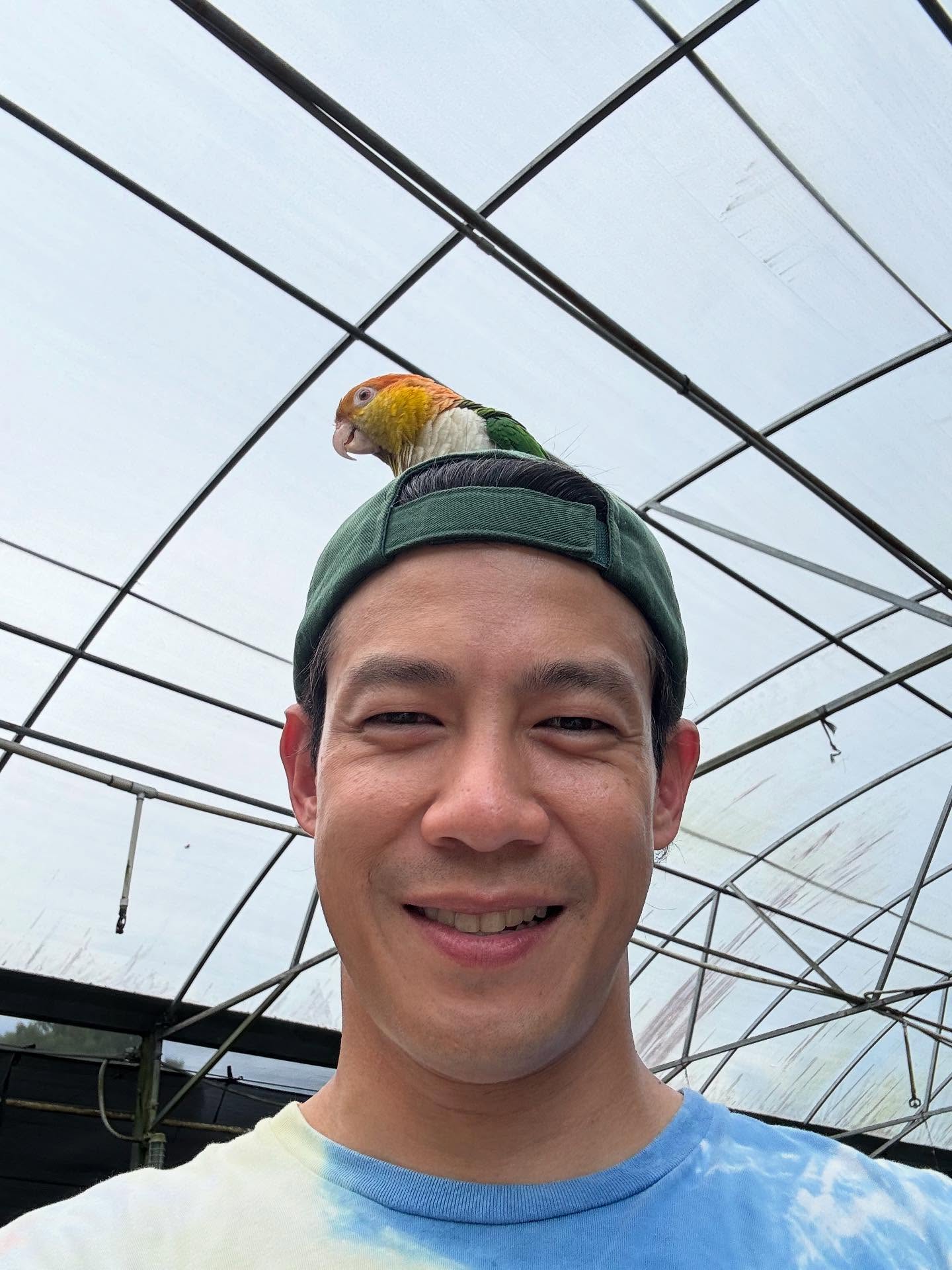 ณัฏฐ์ เทพหัสดิน ณ อยุธยา