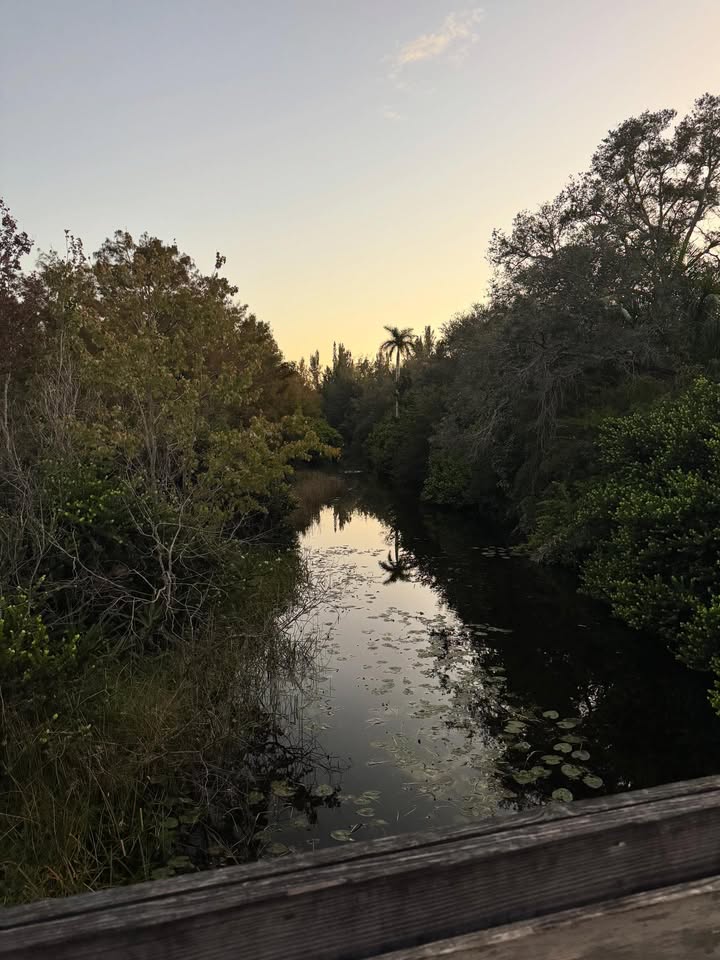 ณัฏฐ์ เทพหัสดิน ณ อยุธยา