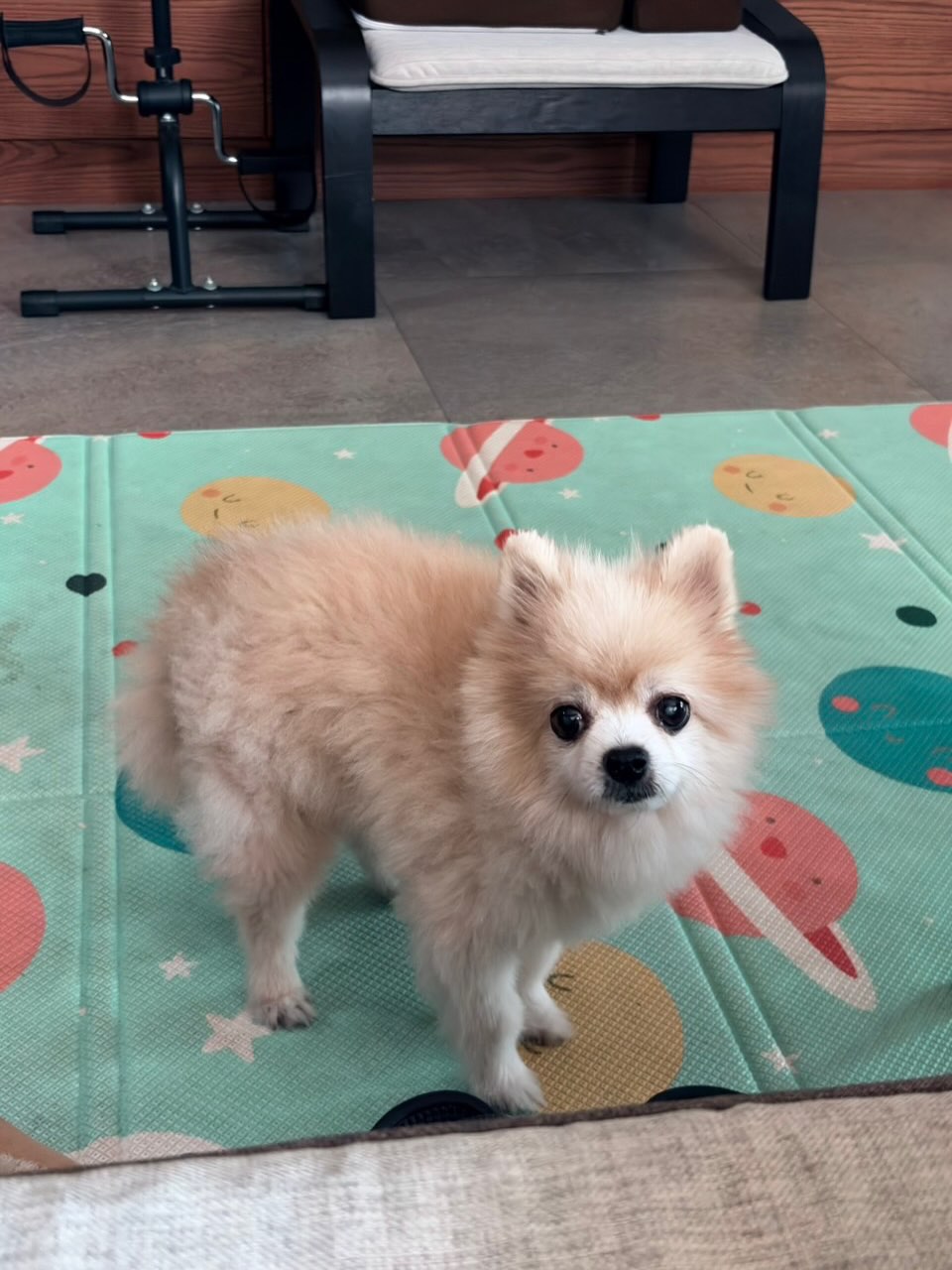 ณัฏฐ์ เทพหัสดิน ณ อยุธยา