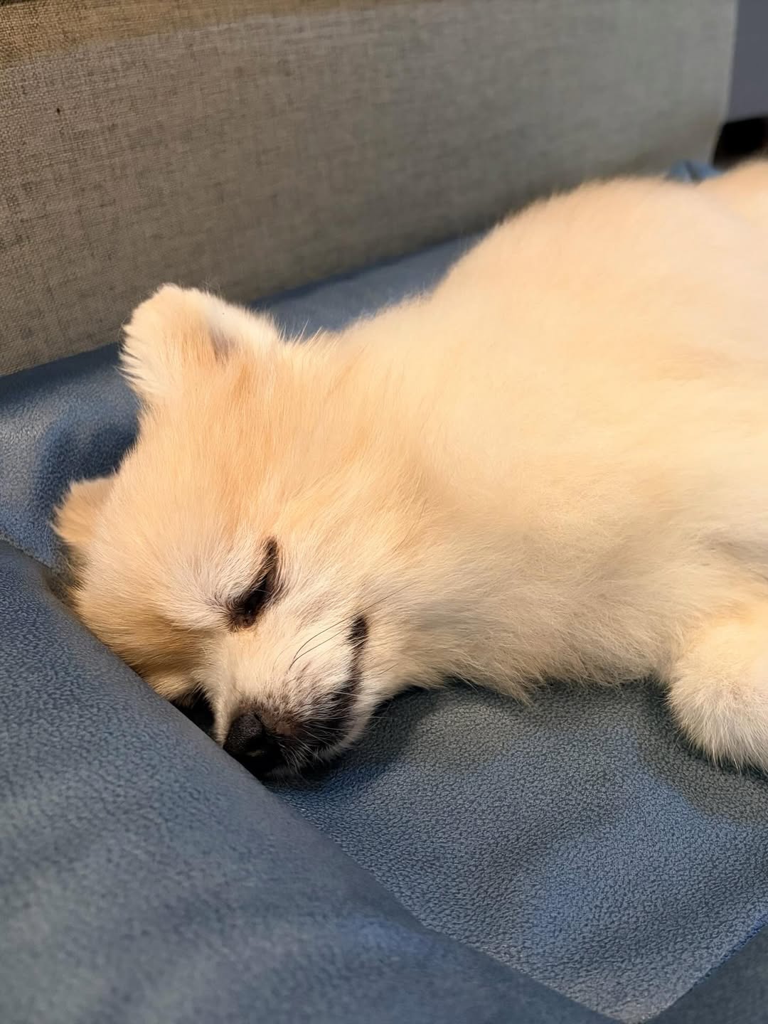 ณัฏฐ์ เทพหัสดิน ณ อยุธยา