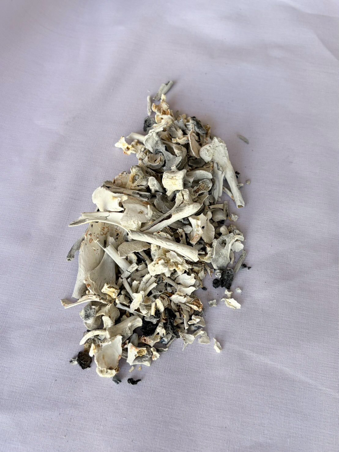 ณัฏฐ์ เทพหัสดิน ณ อยุธยา