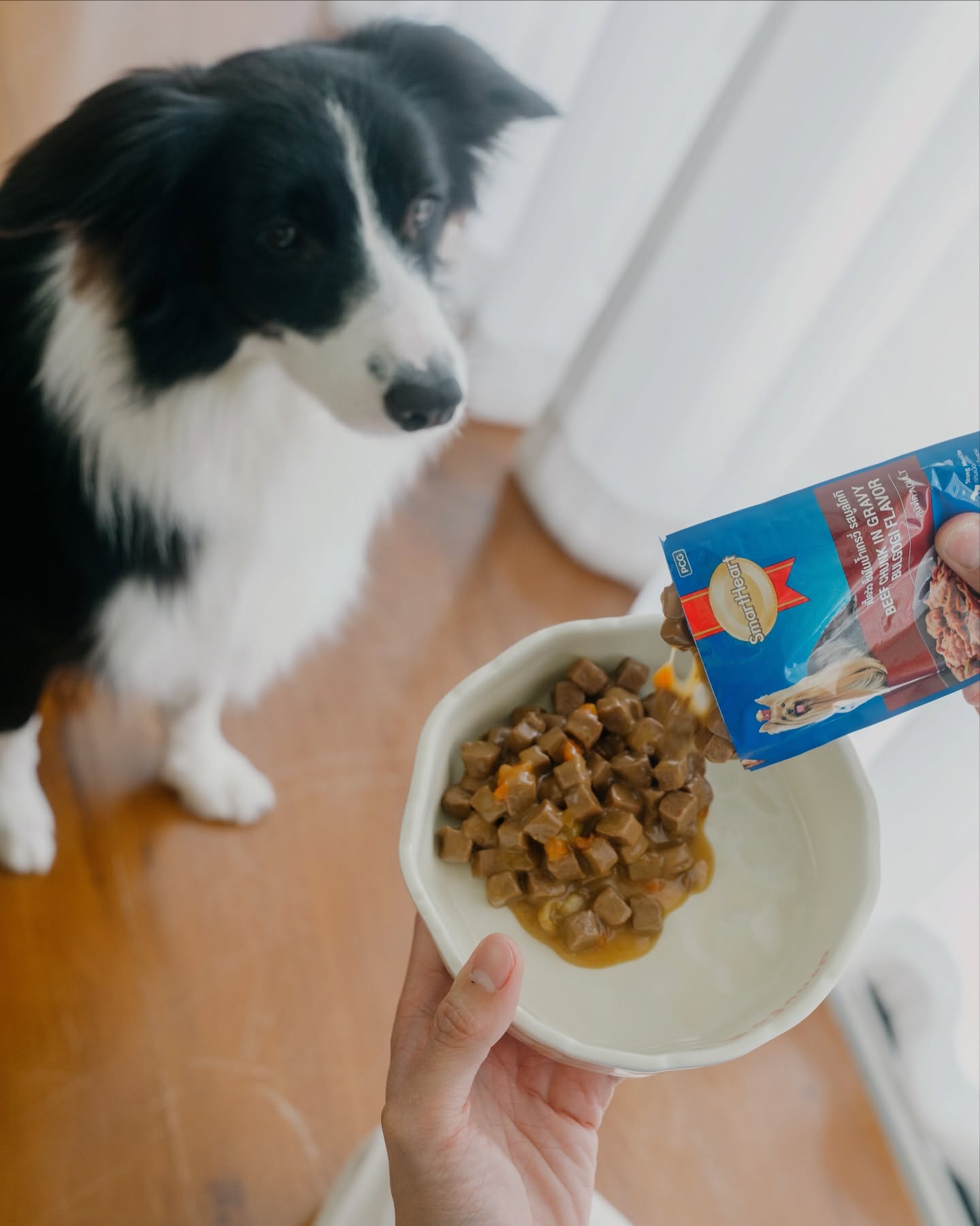 เจมส์ - จิรายุ ตั้งศรีสุข