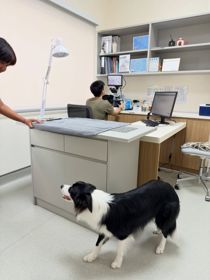 เจมส์ - จิรายุ ตั้งศรีสุข