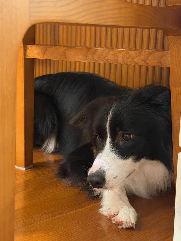 เจมส์ - จิรายุ ตั้งศรีสุข