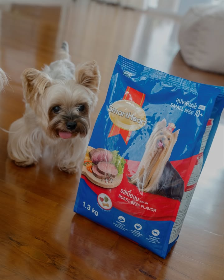 เจมส์ - จิรายุ ตั้งศรีสุข