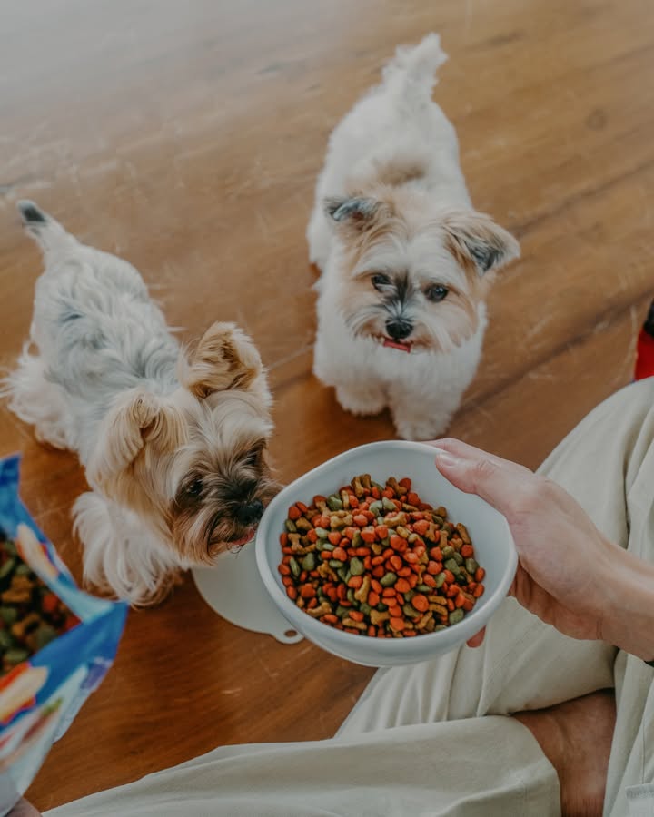 เจมส์ - จิรายุ ตั้งศรีสุข