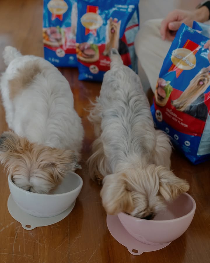 เจมส์ - จิรายุ ตั้งศรีสุข