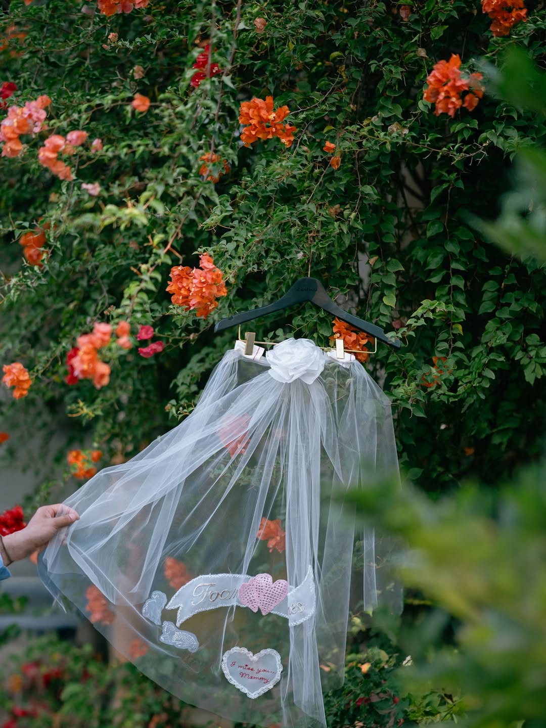 เจมส์ - จิรายุ ตั้งศรีสุข