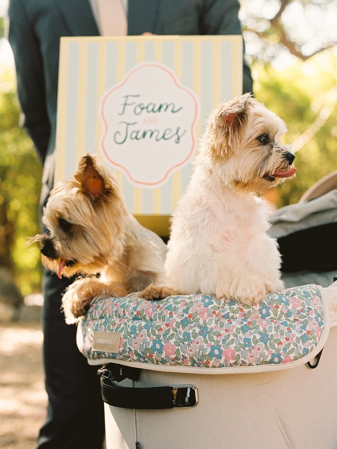 เจมส์ - จิรายุ ตั้งศรีสุข