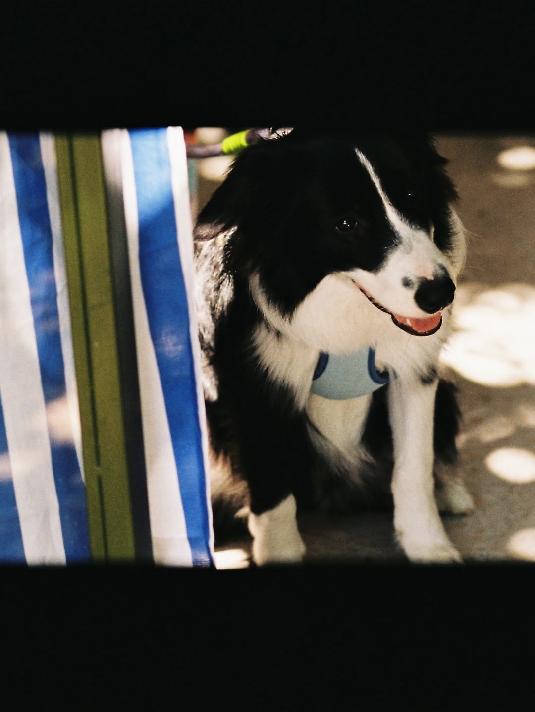 เจมส์ - จิรายุ ตั้งศรีสุข