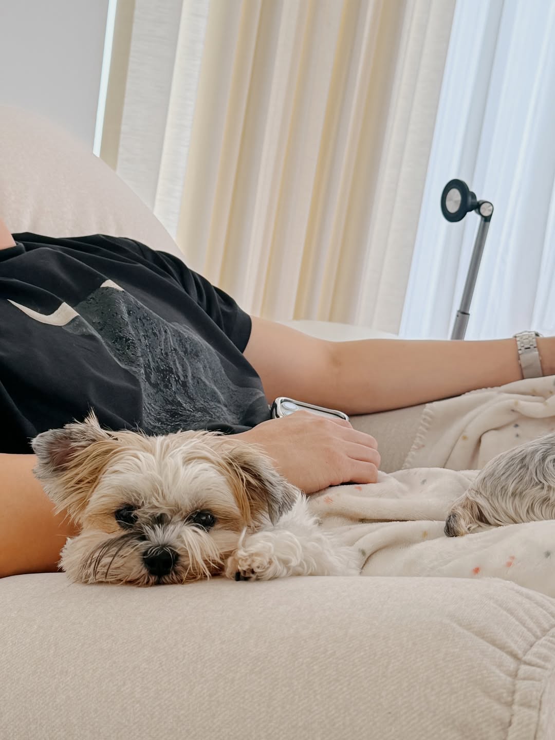 เจมส์ - จิรายุ ตั้งศรีสุข