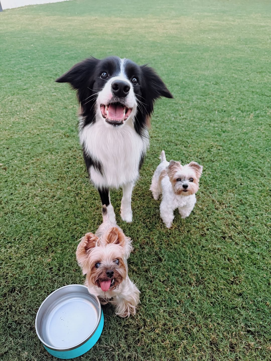 เจมส์ - จิรายุ ตั้งศรีสุข