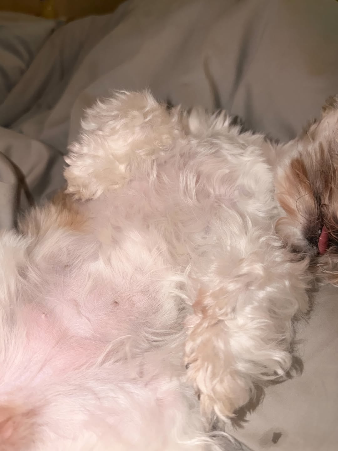 เจมส์ - จิรายุ ตั้งศรีสุข