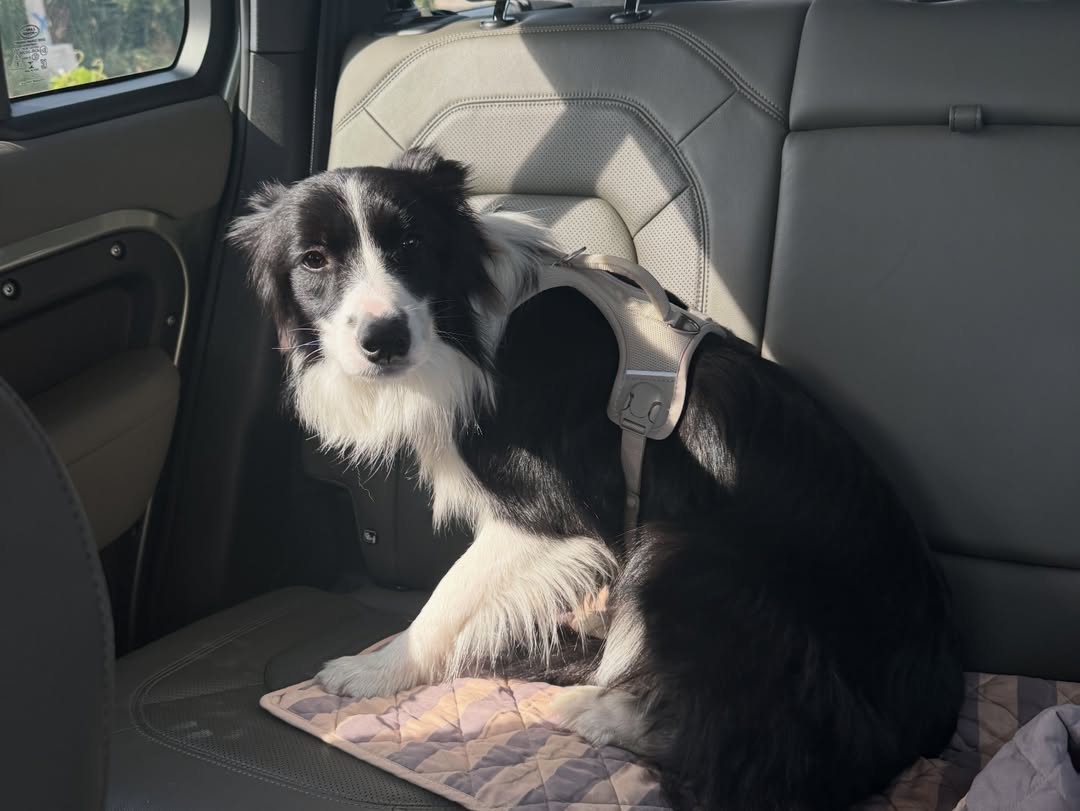 เจมส์ - จิรายุ ตั้งศรีสุข