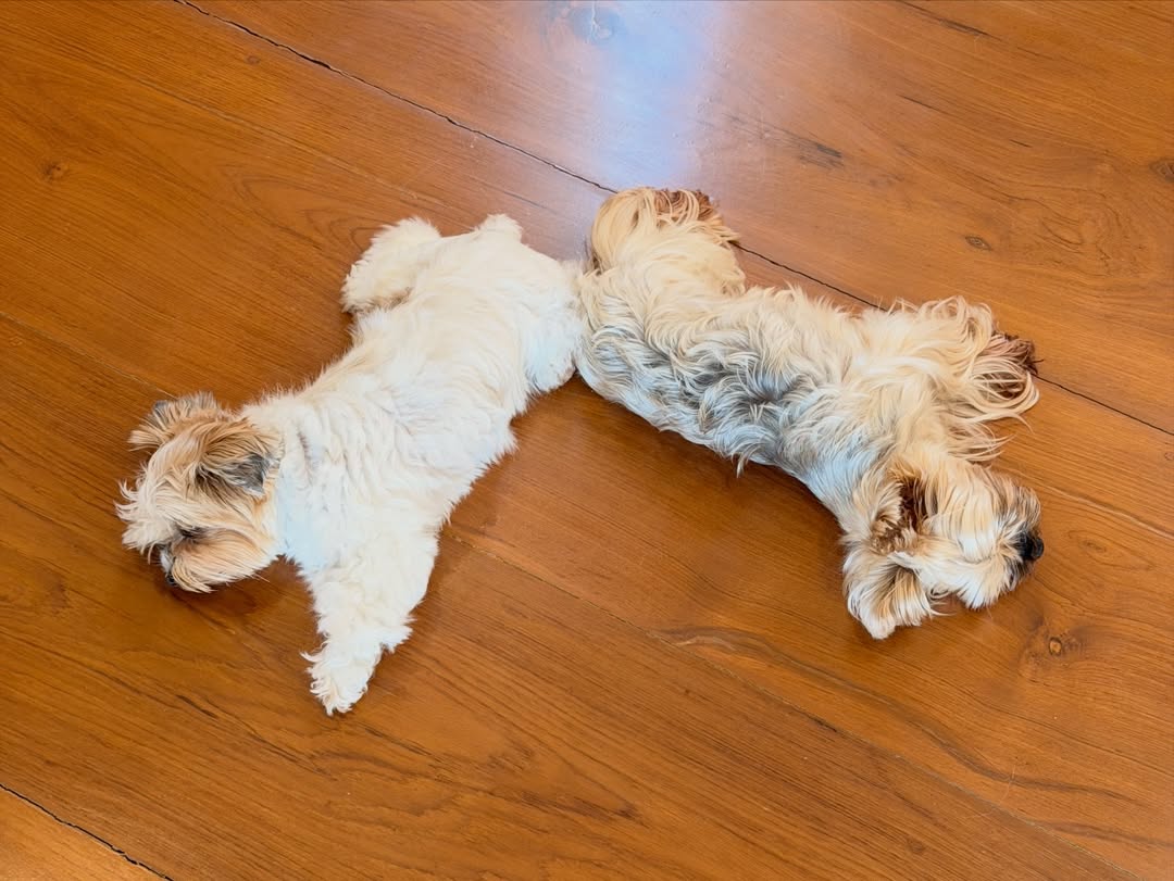 เจมส์ - จิรายุ ตั้งศรีสุข